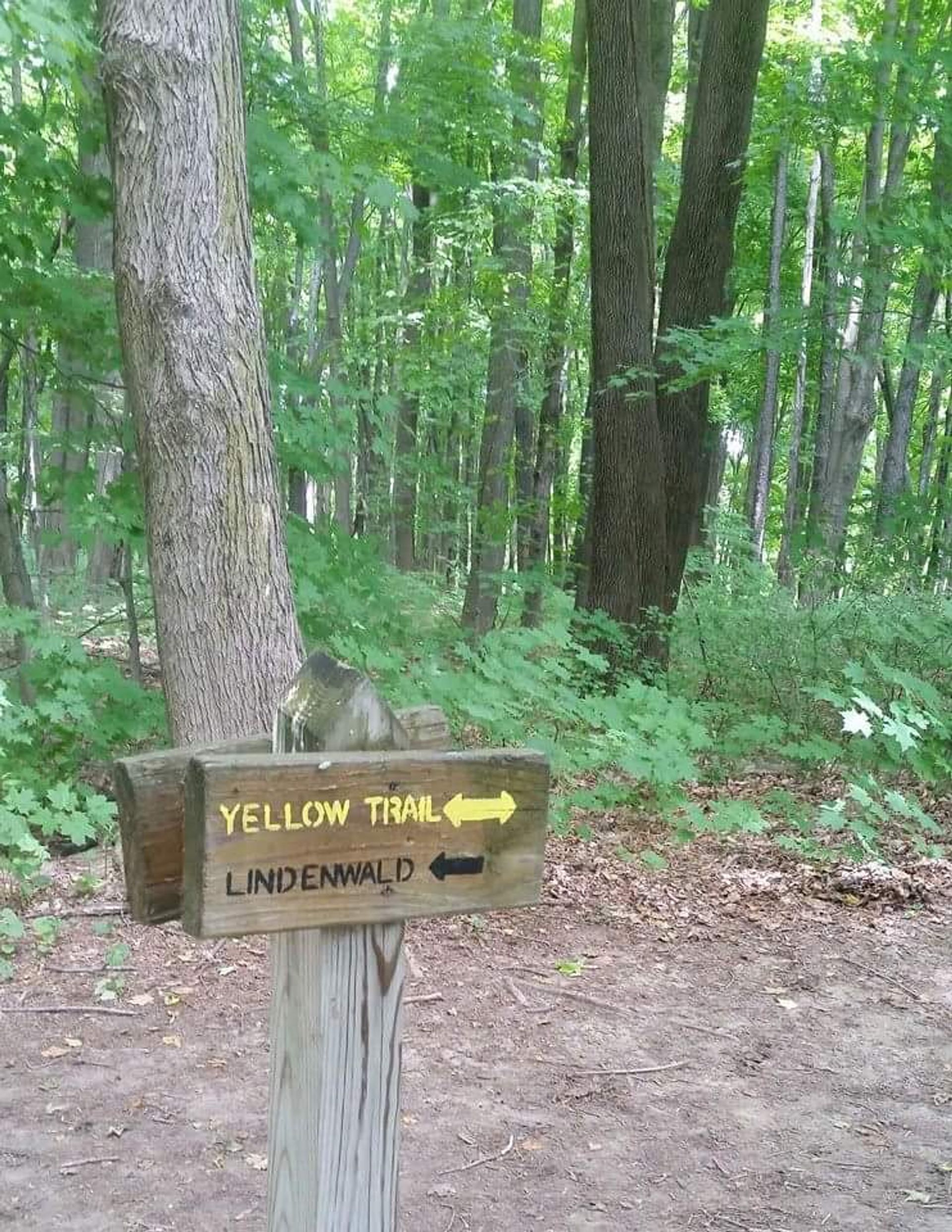 another trail marker