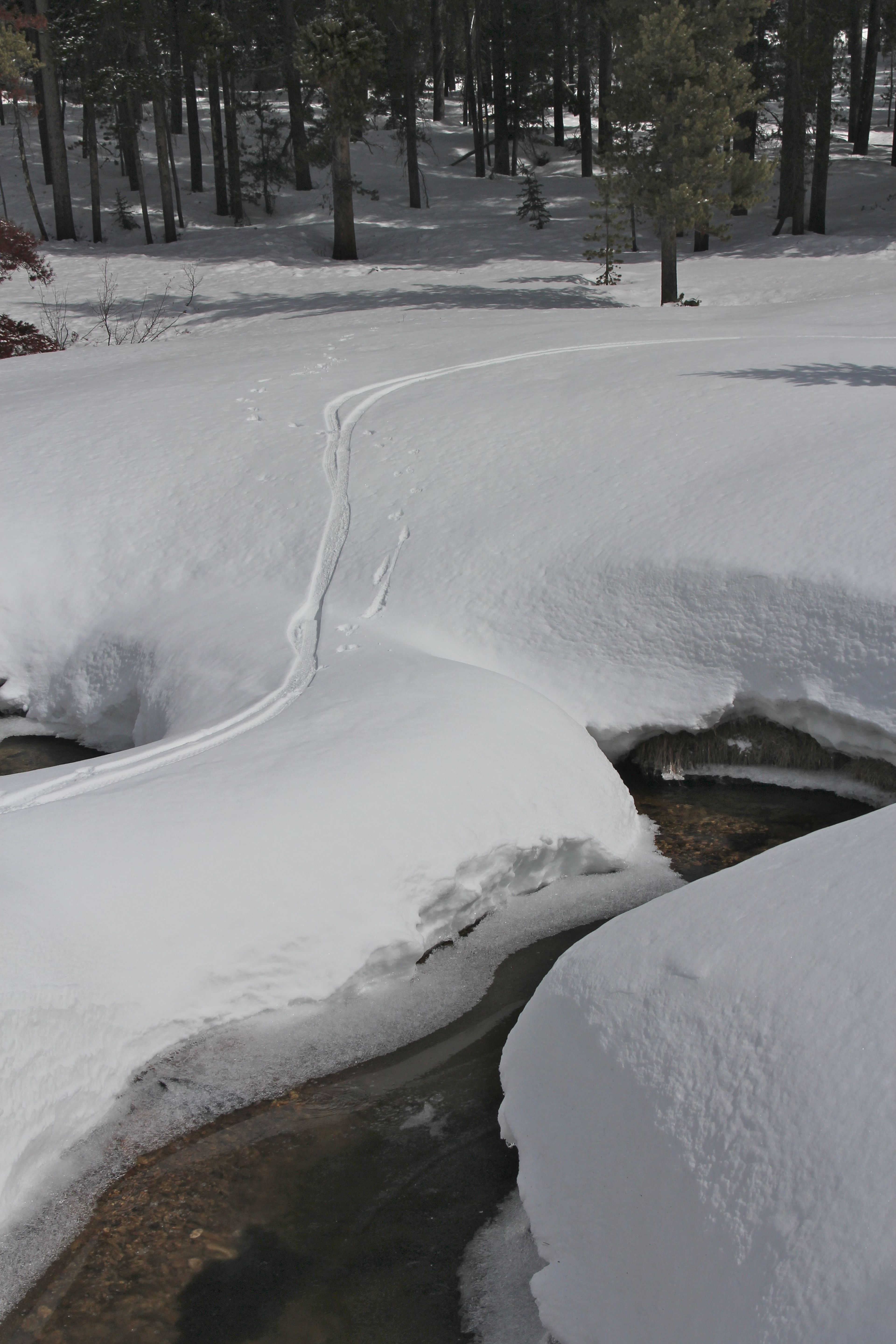 Snowbike Tracks meander with May Creek. Photo by David Lingle.