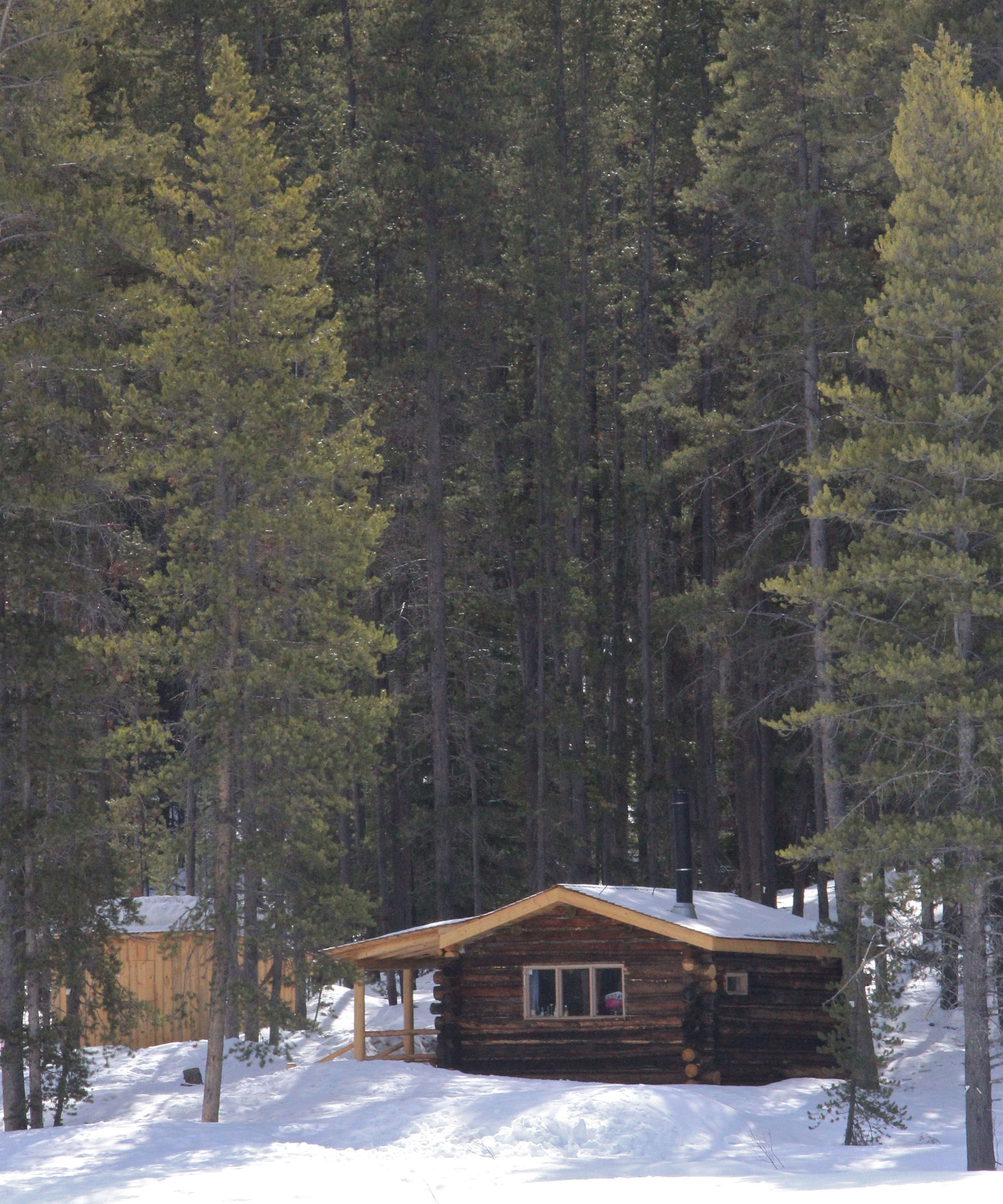 Cabin along May Creek. Photo by David Lingle.