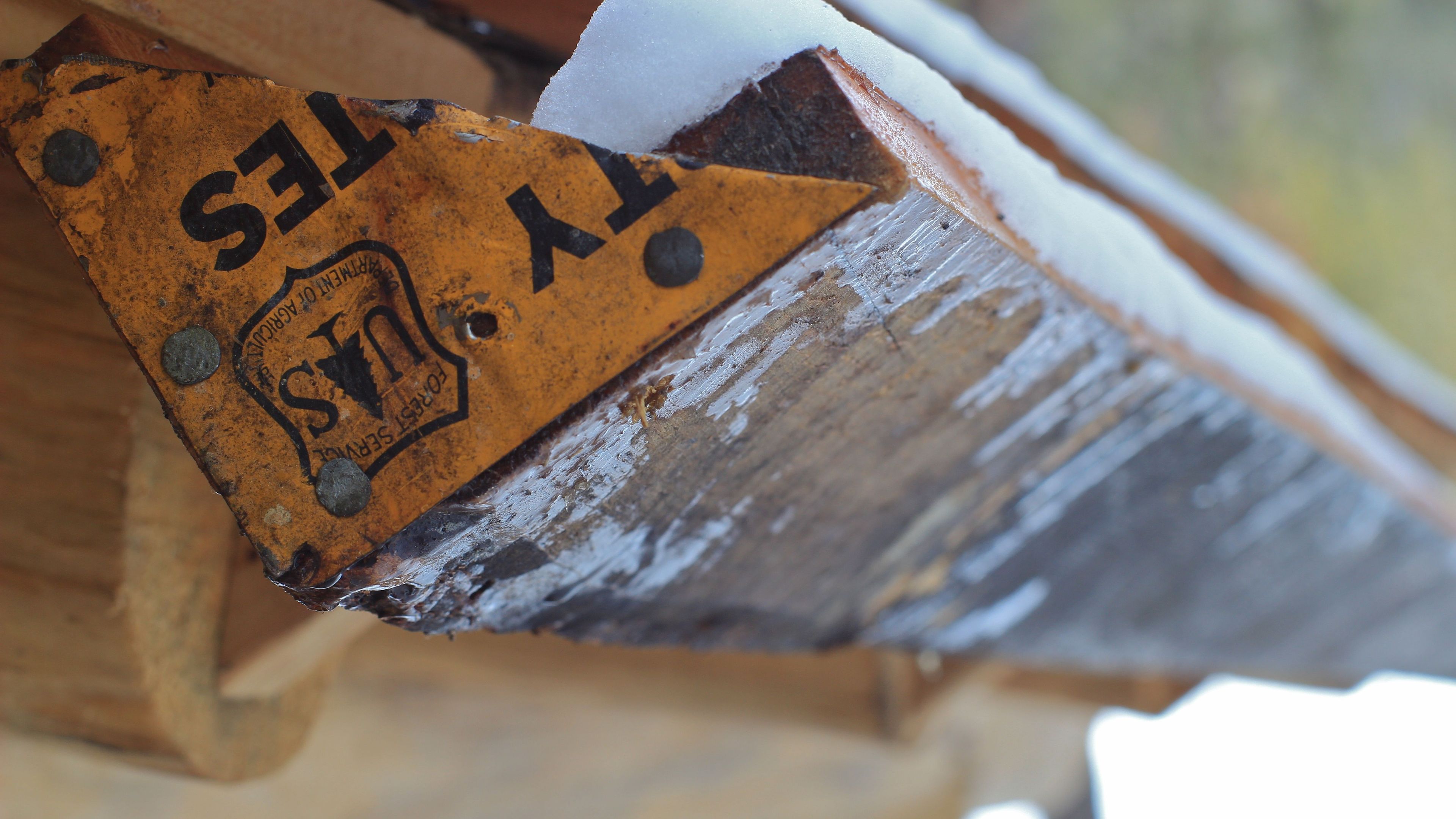 Gutter on May Creek Cabin. Photo by David Lingle.