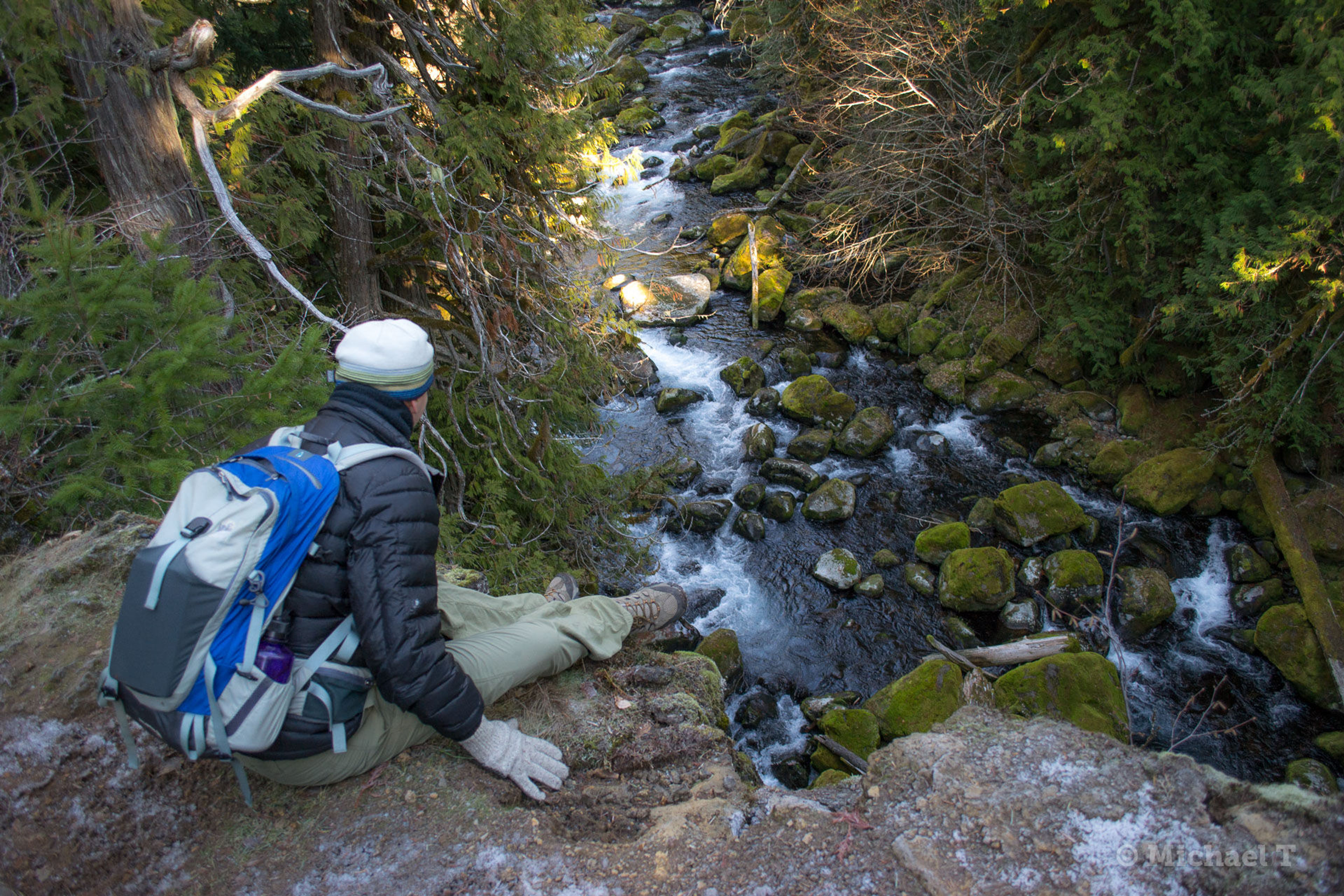 McKenzie River Trail