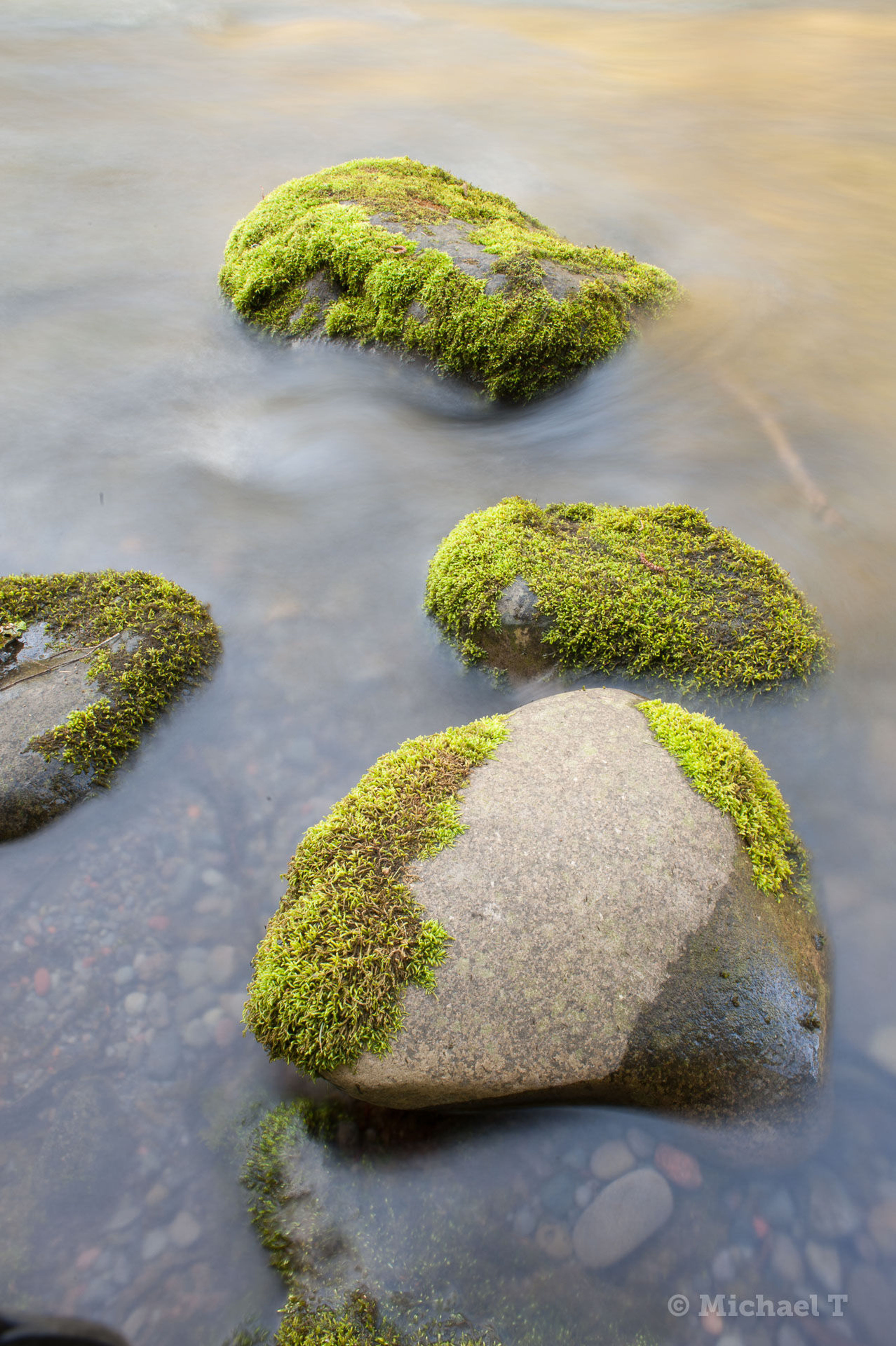 River rocks along the trail.