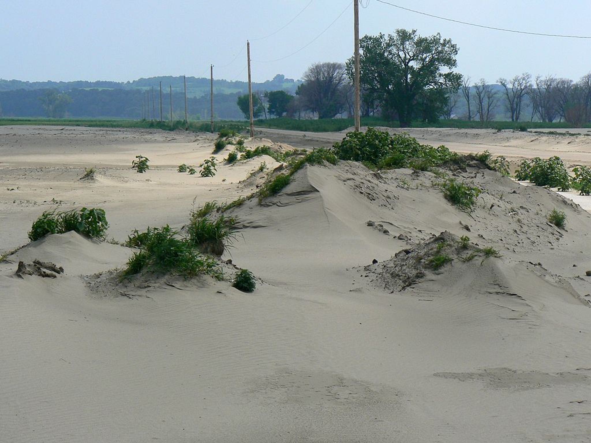 Sand Dunes along County Road 34 in Boyer Chute Refuge. Photo by MONGO wiki.