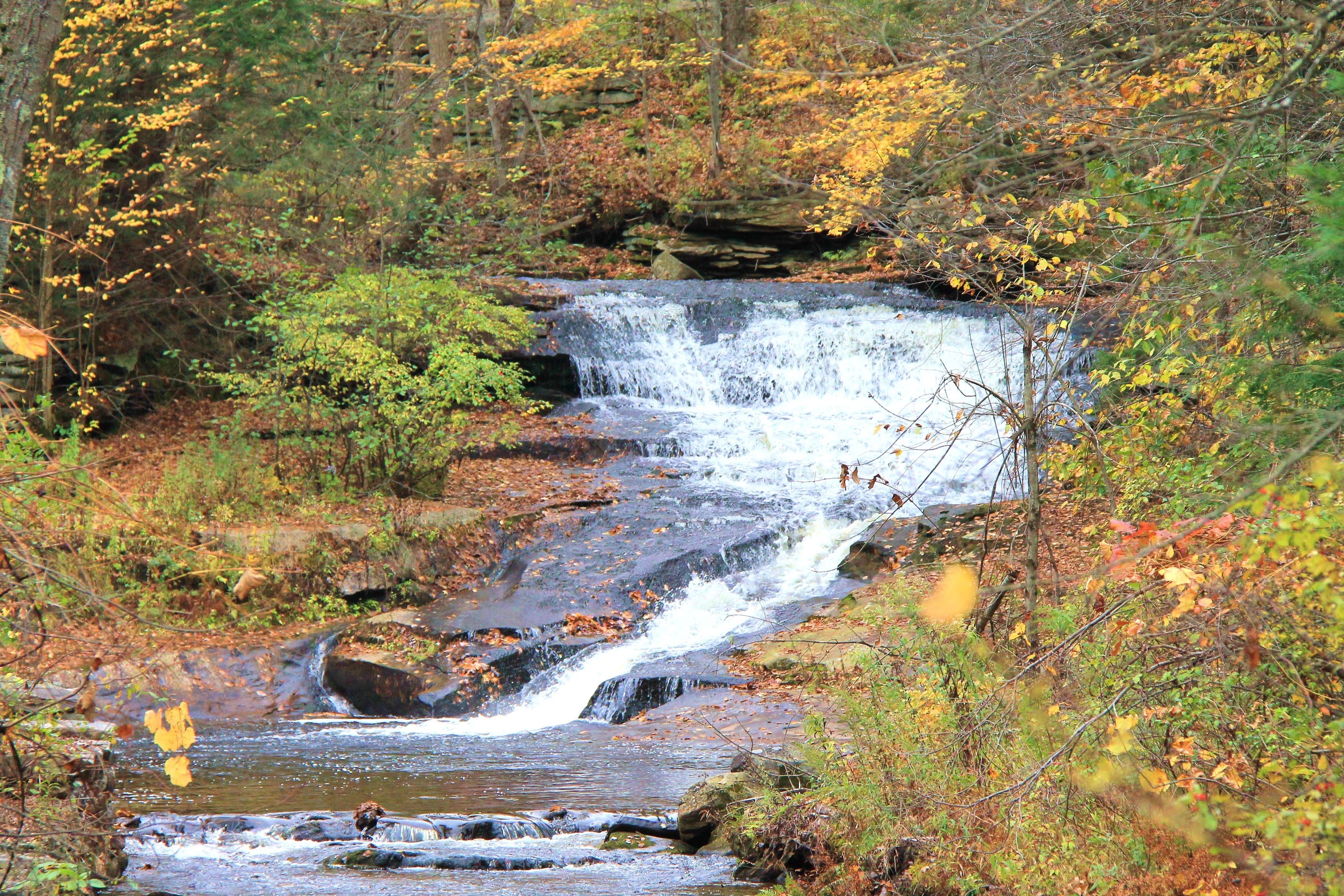 Scenery along the Metacomet-Monadnock Trail. Photo by Sarah Bierden.