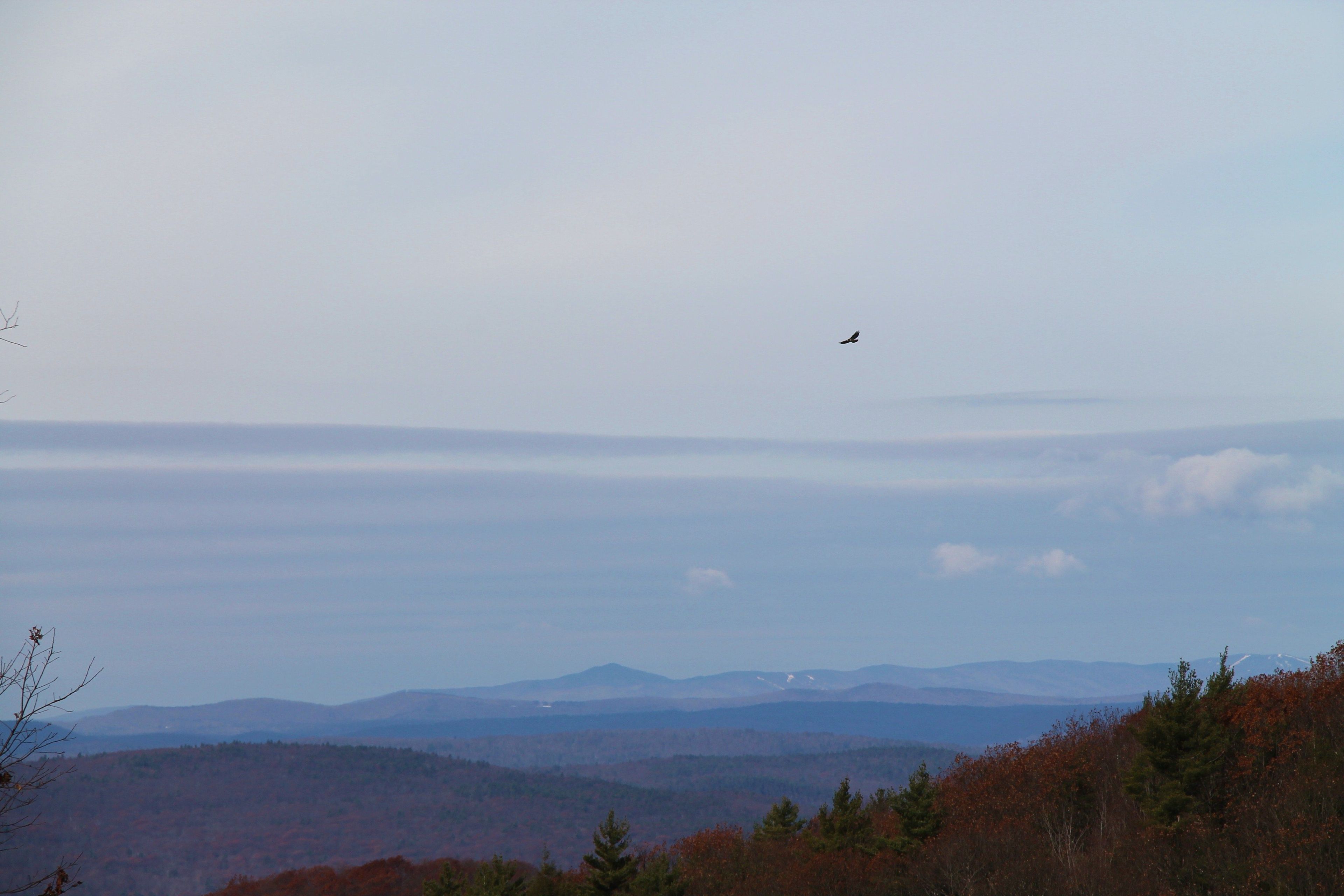 Scenery along the Metacomet-Monadnock Trail. Photo by Sarah Bierden.