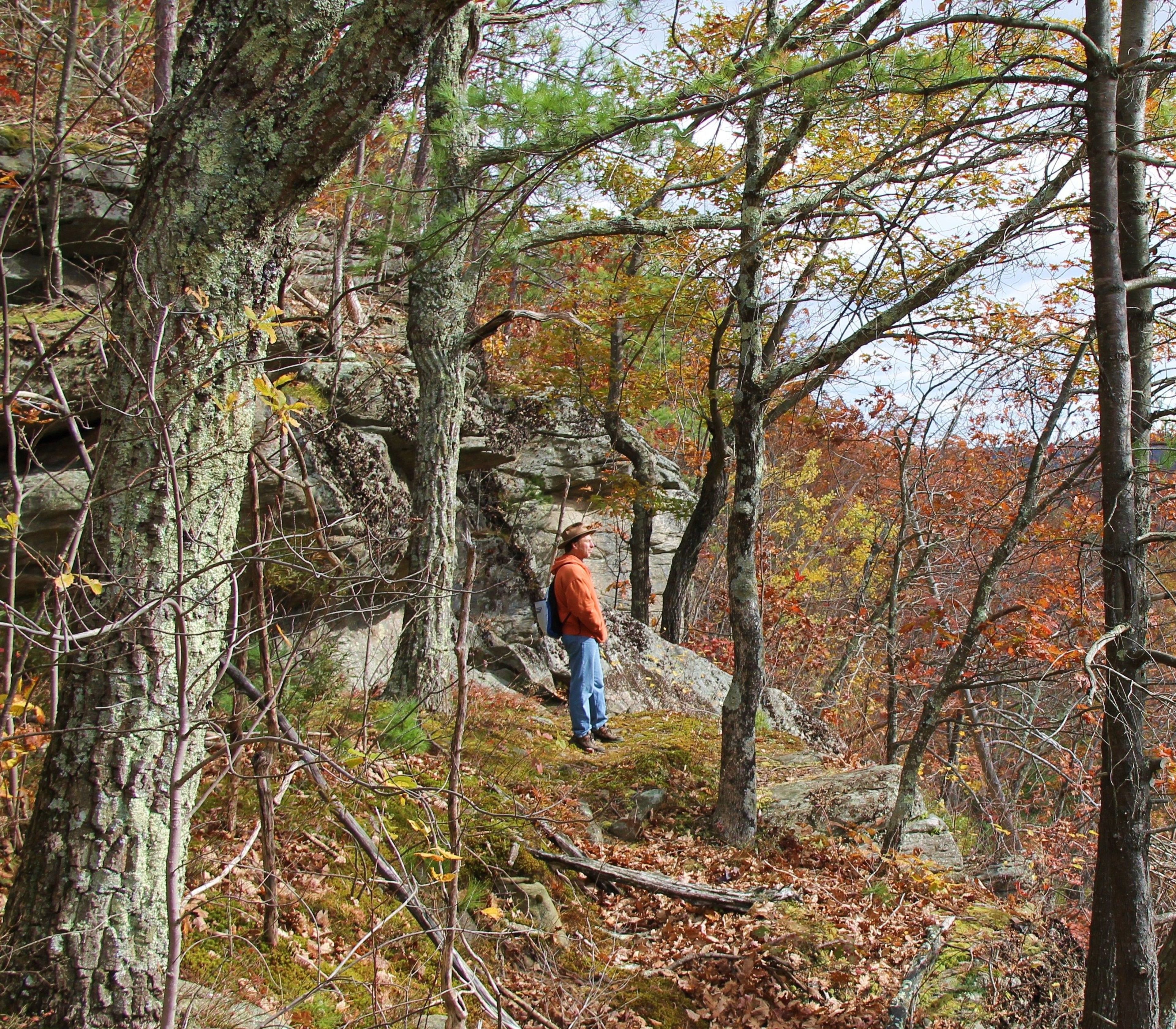 Scenery along the Metacomet-Monadnock Trail. Photo by Sarah Bierden.