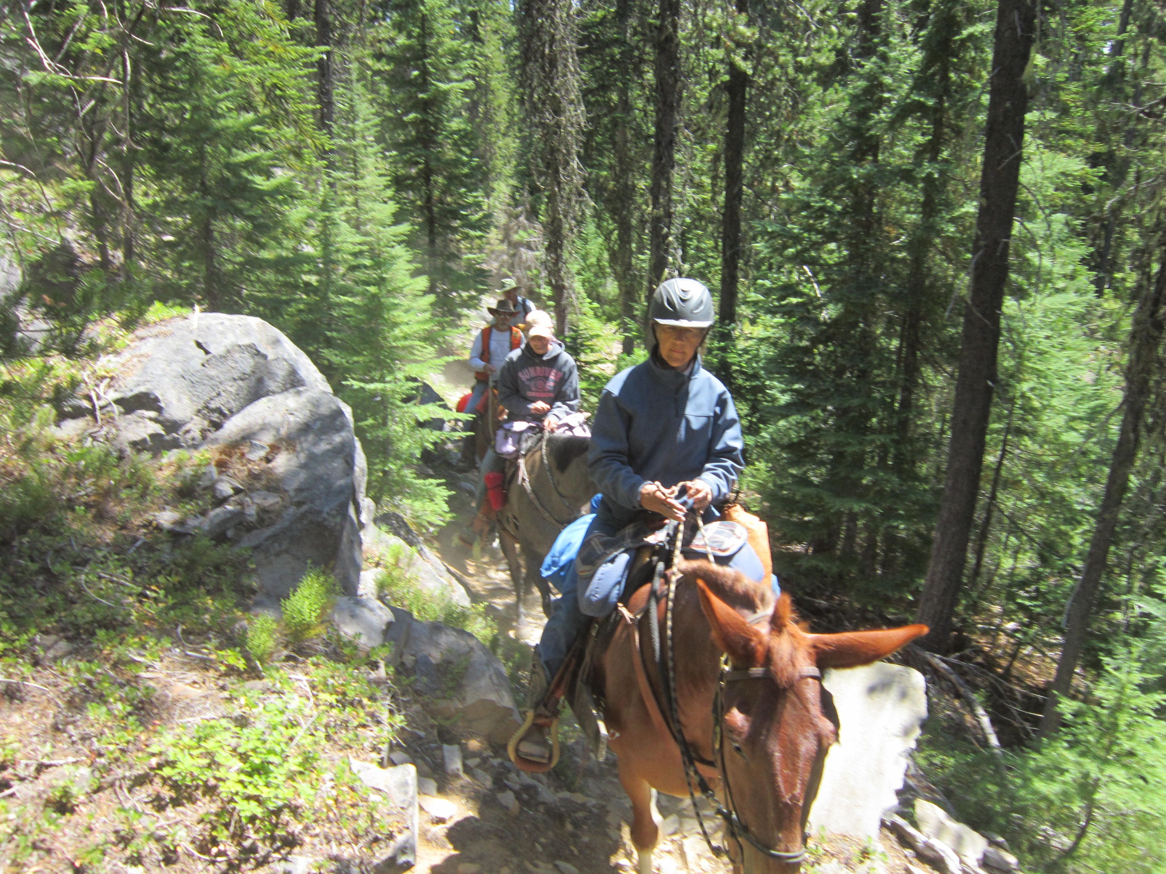 East Cascade Back Country Horsemen trail clearing volunteers. Photo by Linda Thomas.