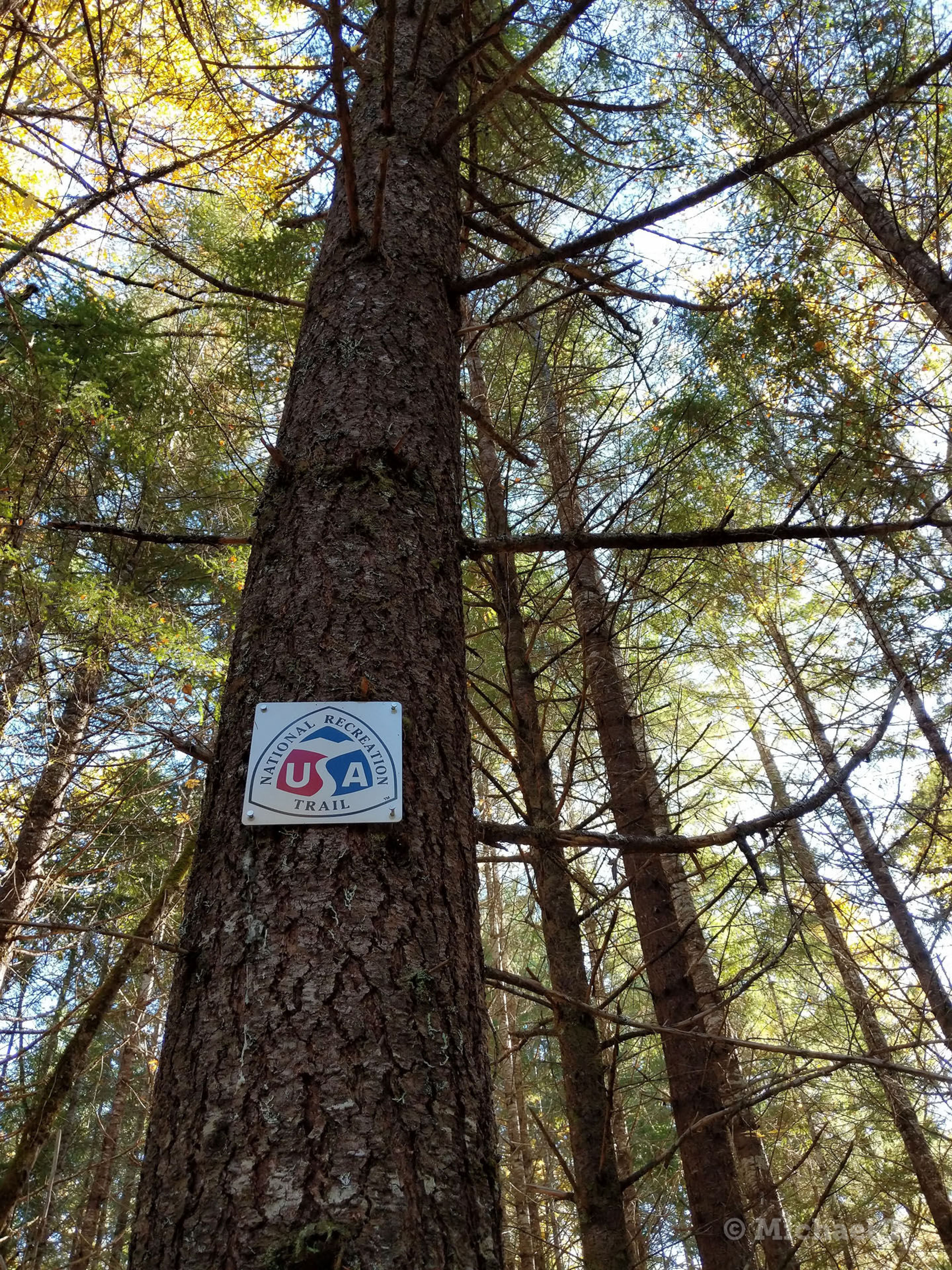 Middle Fork Trail