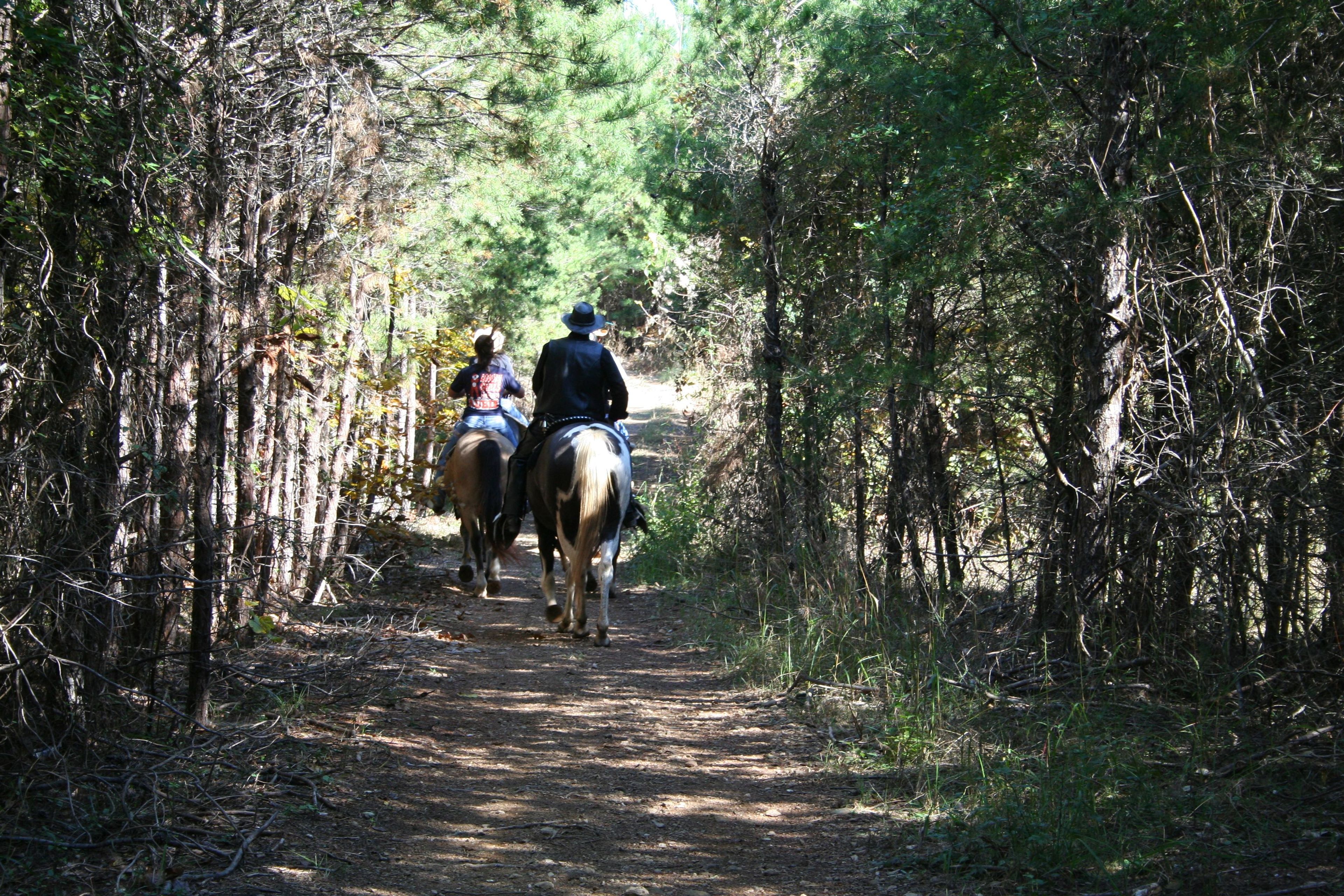 Horse trail. Photo by Mark Alexander.