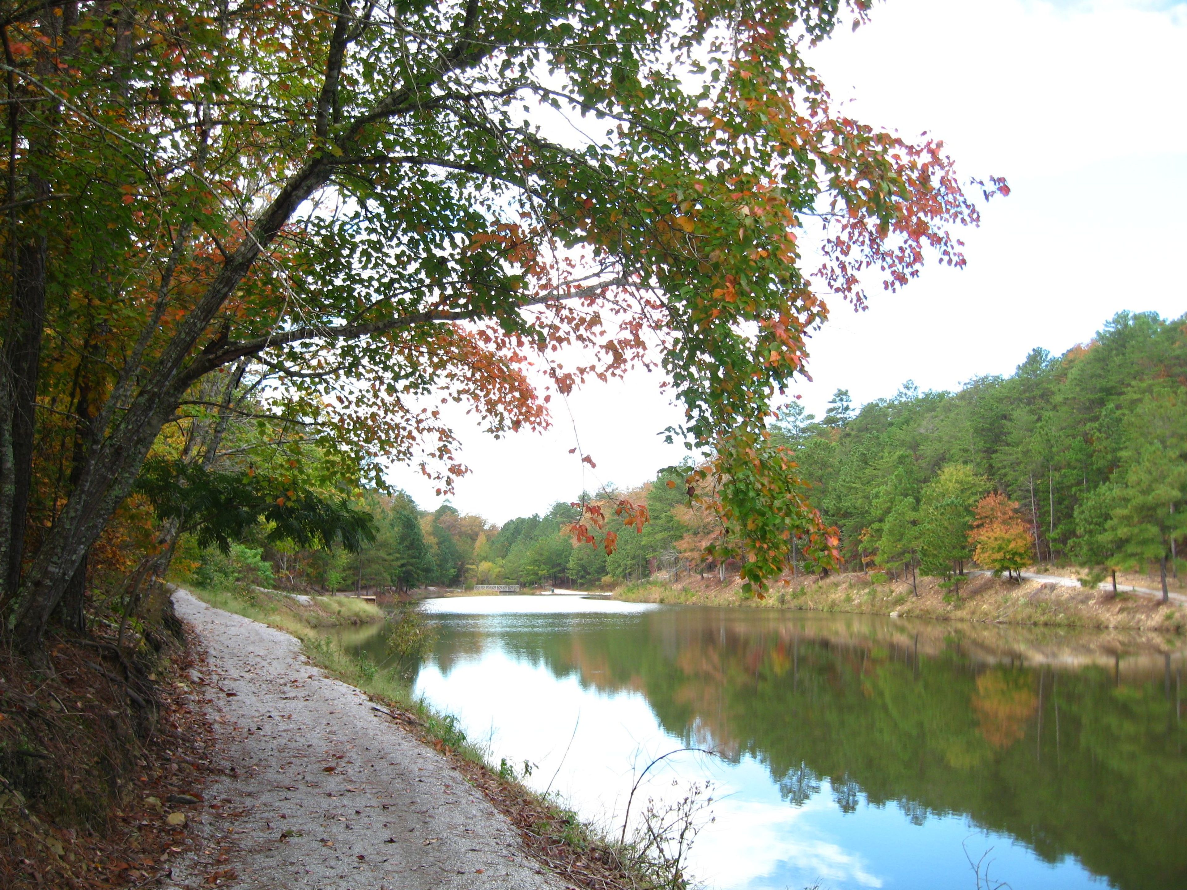 Park walking trail. Photo by Mark Alexander.