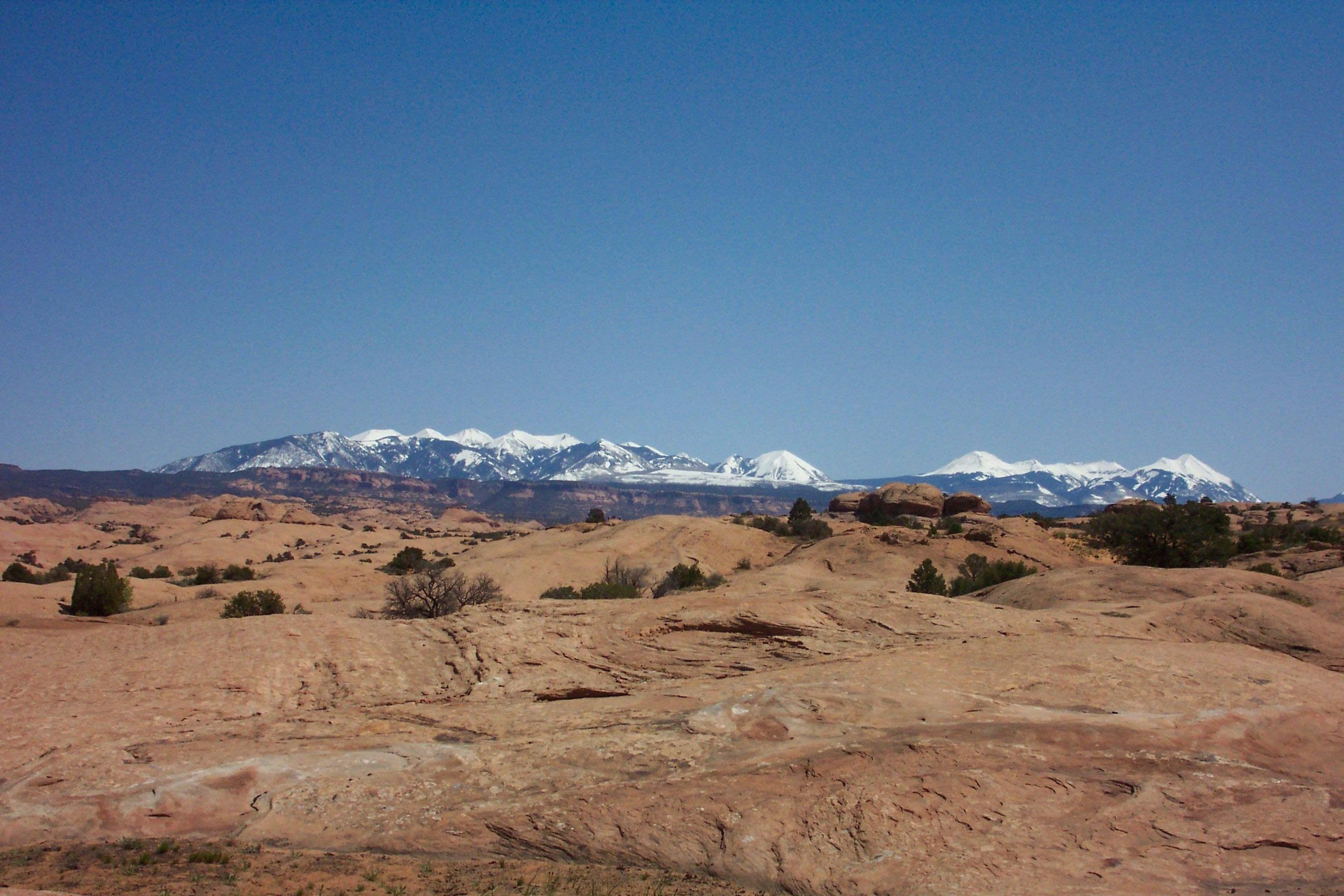 Slickrock with La Sal mountains in background. Photo by Jarek Tuszynski/wiki.