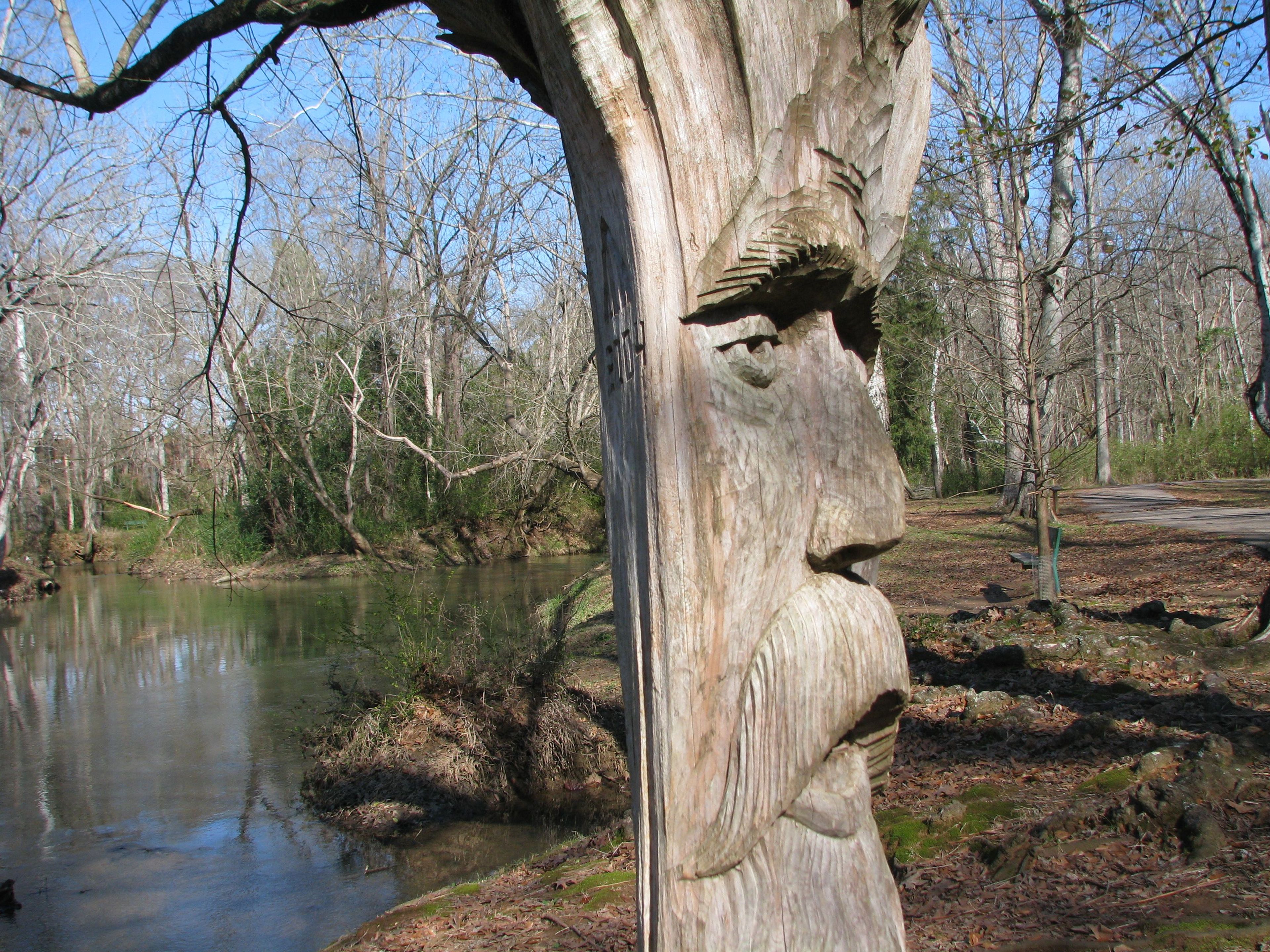 Sage Creek Trail tree carving by Tim Tingle. Photo by Andrew Cost.