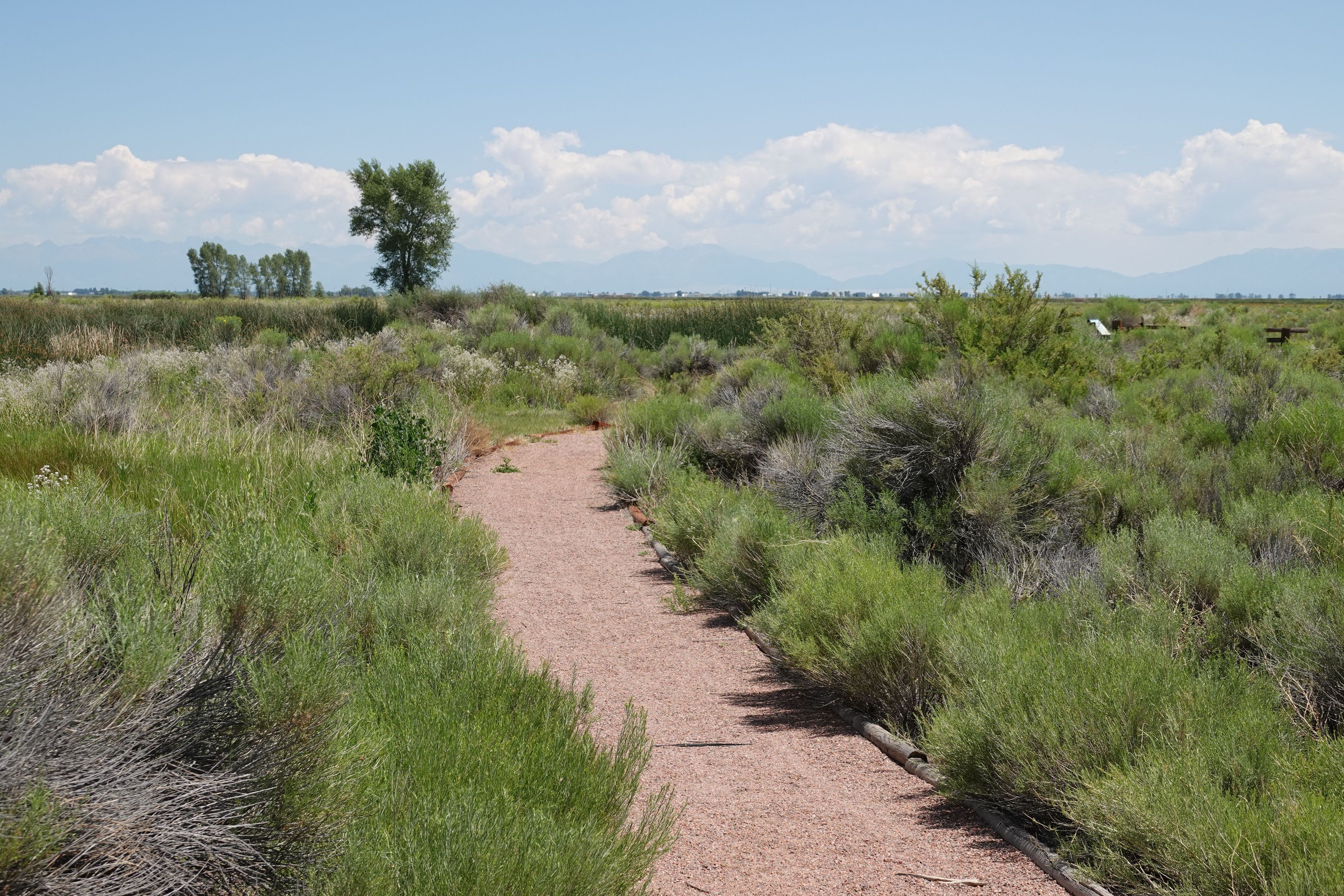 Monte Vista Walking Trail - 7-14-18. Photo by Jim Walla.