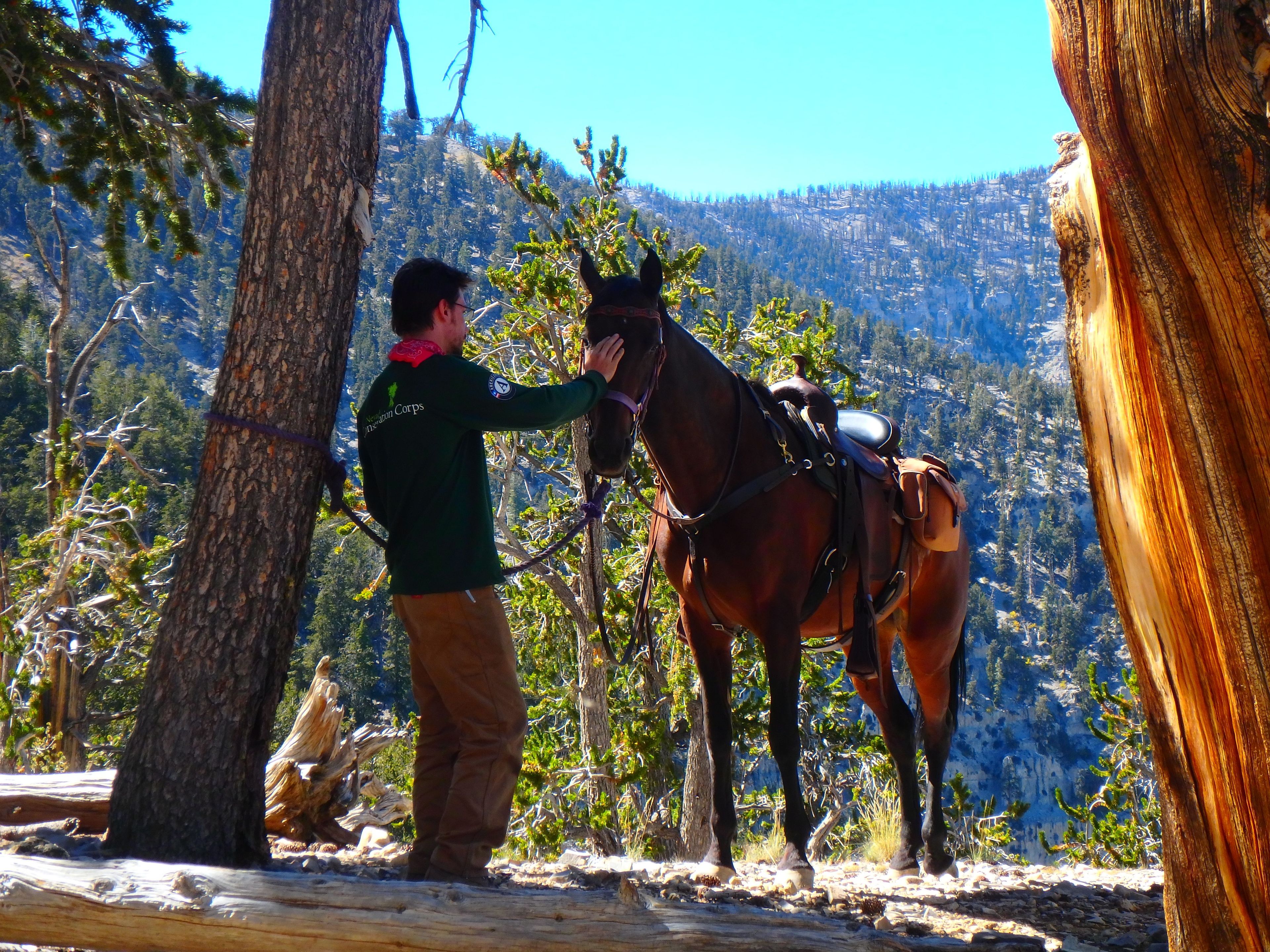 Nevada Conservation Corps. crew member Drake Sweet has a heart to heart with one of the horses that delivered gear to the NCC. Photo by Liam Downs-Tepper.