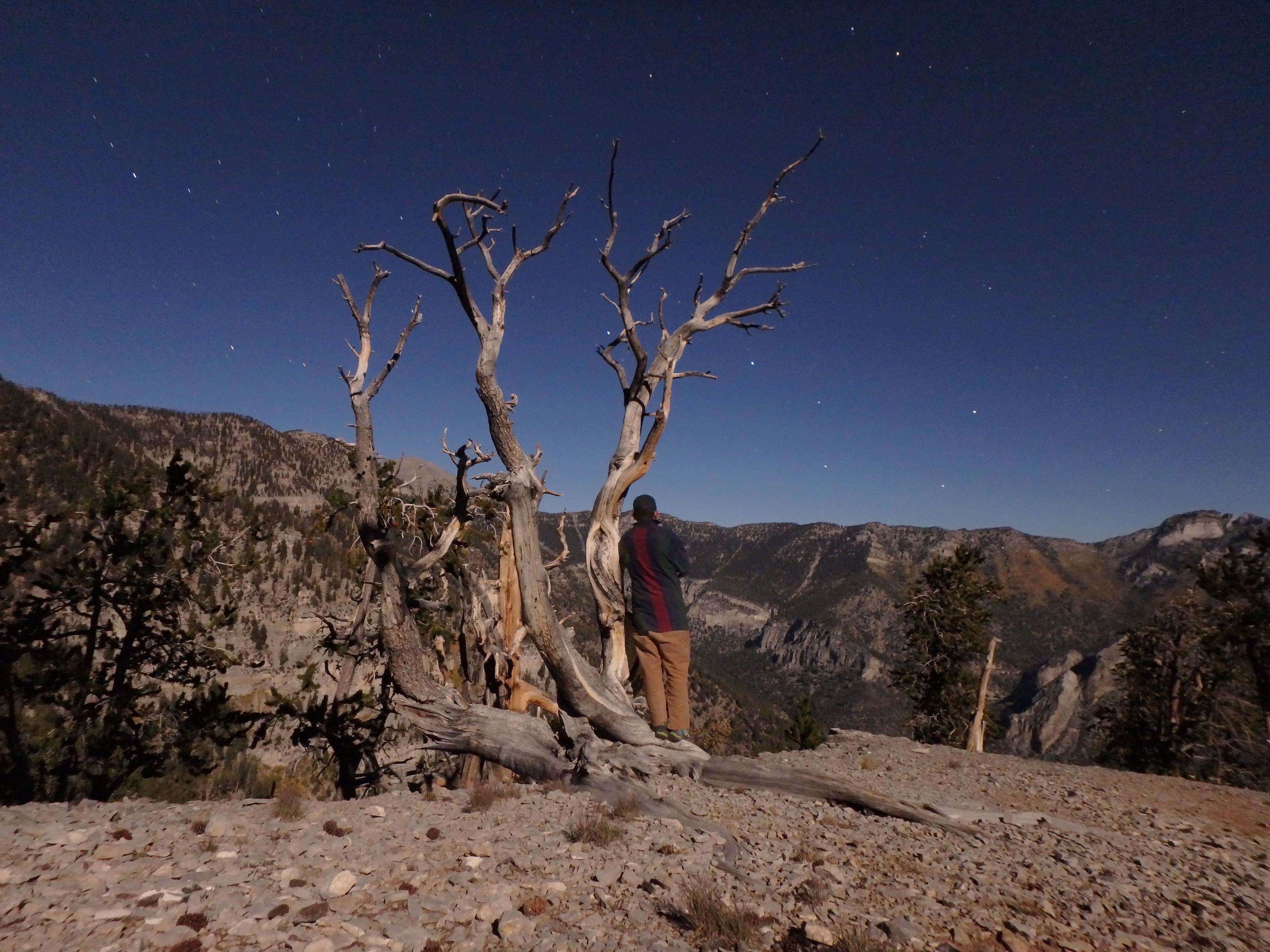 Nevada Conservation Corps. crew member Liam Downs-Tepper enjoys a moonlit night. Photo by Liam Downs-Tepper.