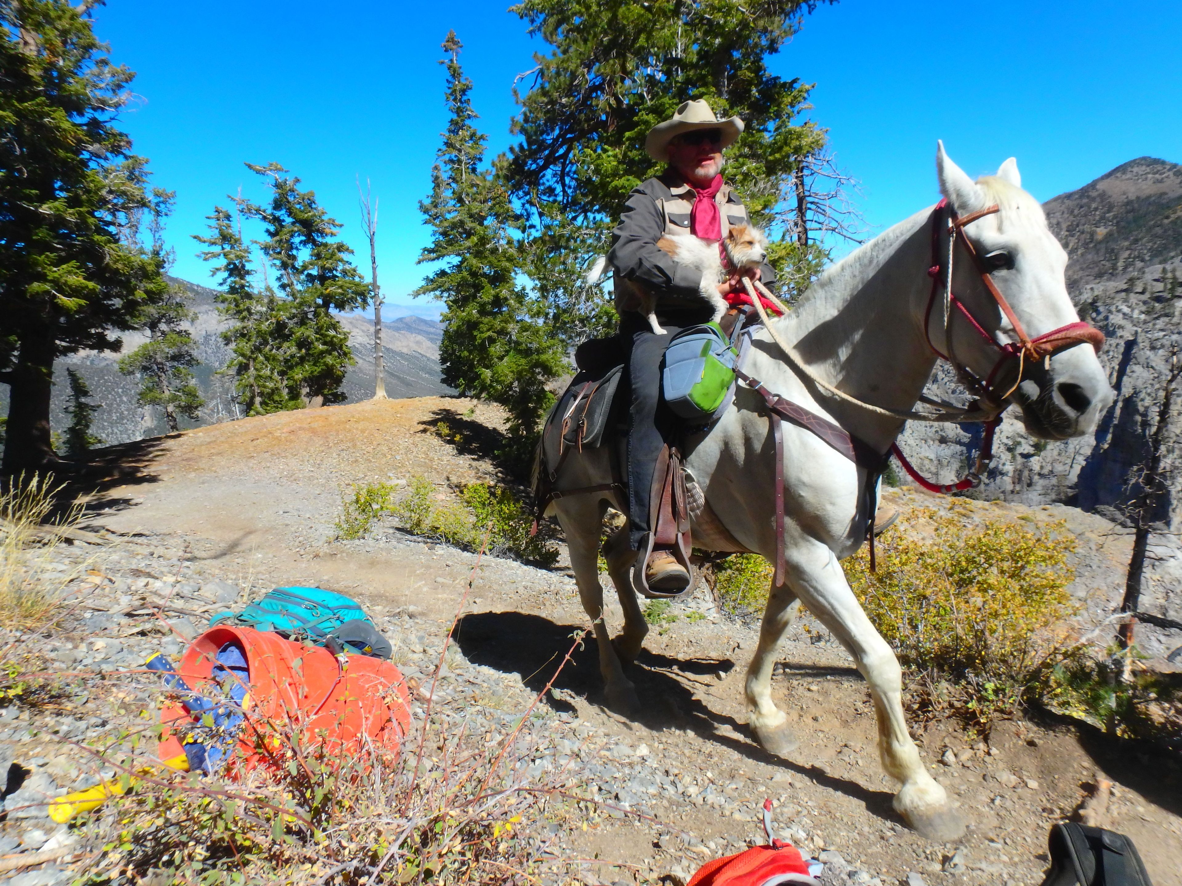 Big Jim, of the Backcountry Horseman, and his dog, Millie, both on their way to bring tools and supplies up to the crew. Photo by Liam Downs-Tepper.