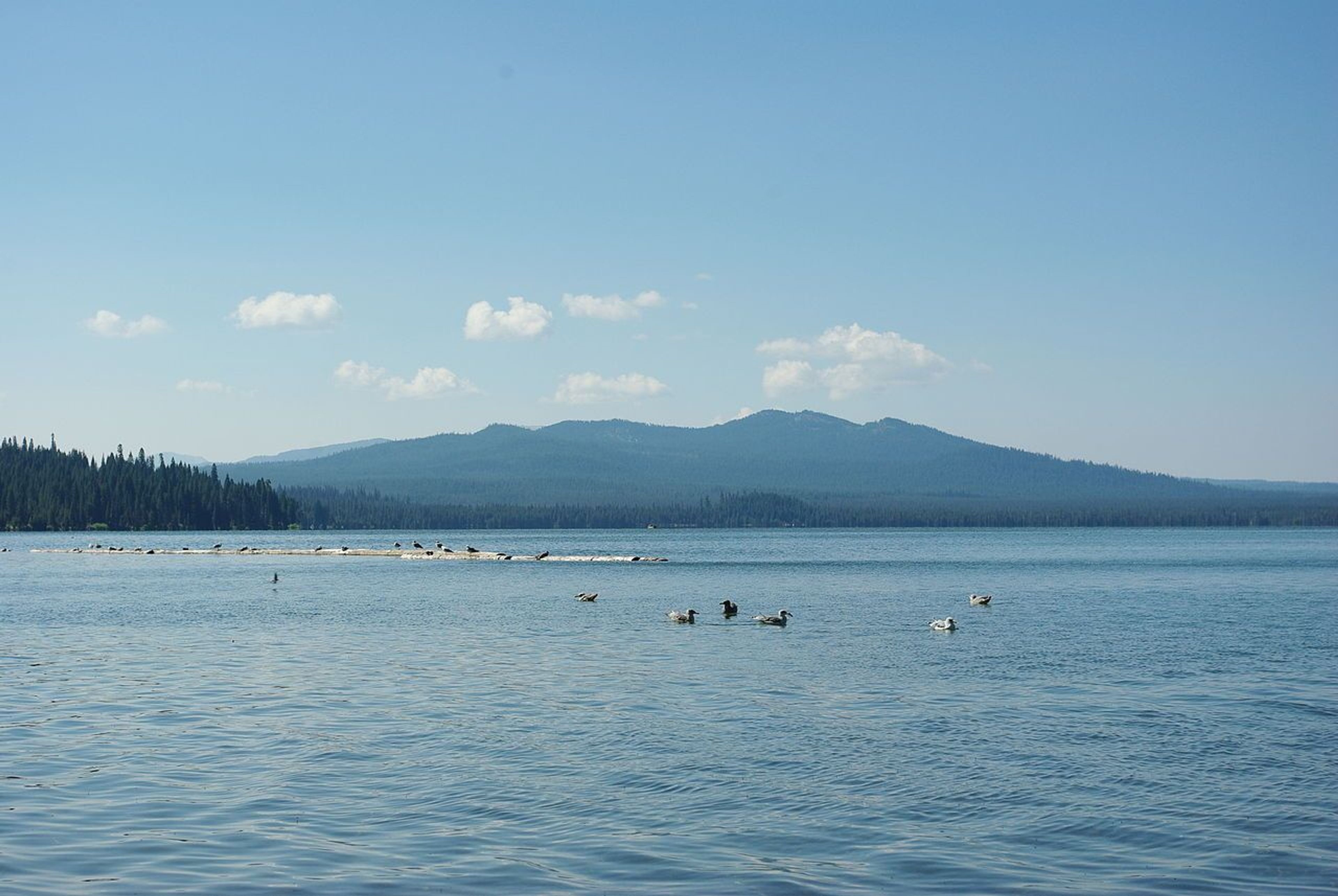 Diamond lake. Photo by M.O. Stevens.