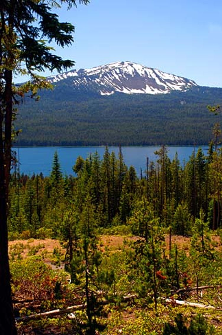 Mt. Bailey. Photo by Gary Halvorson wiki.