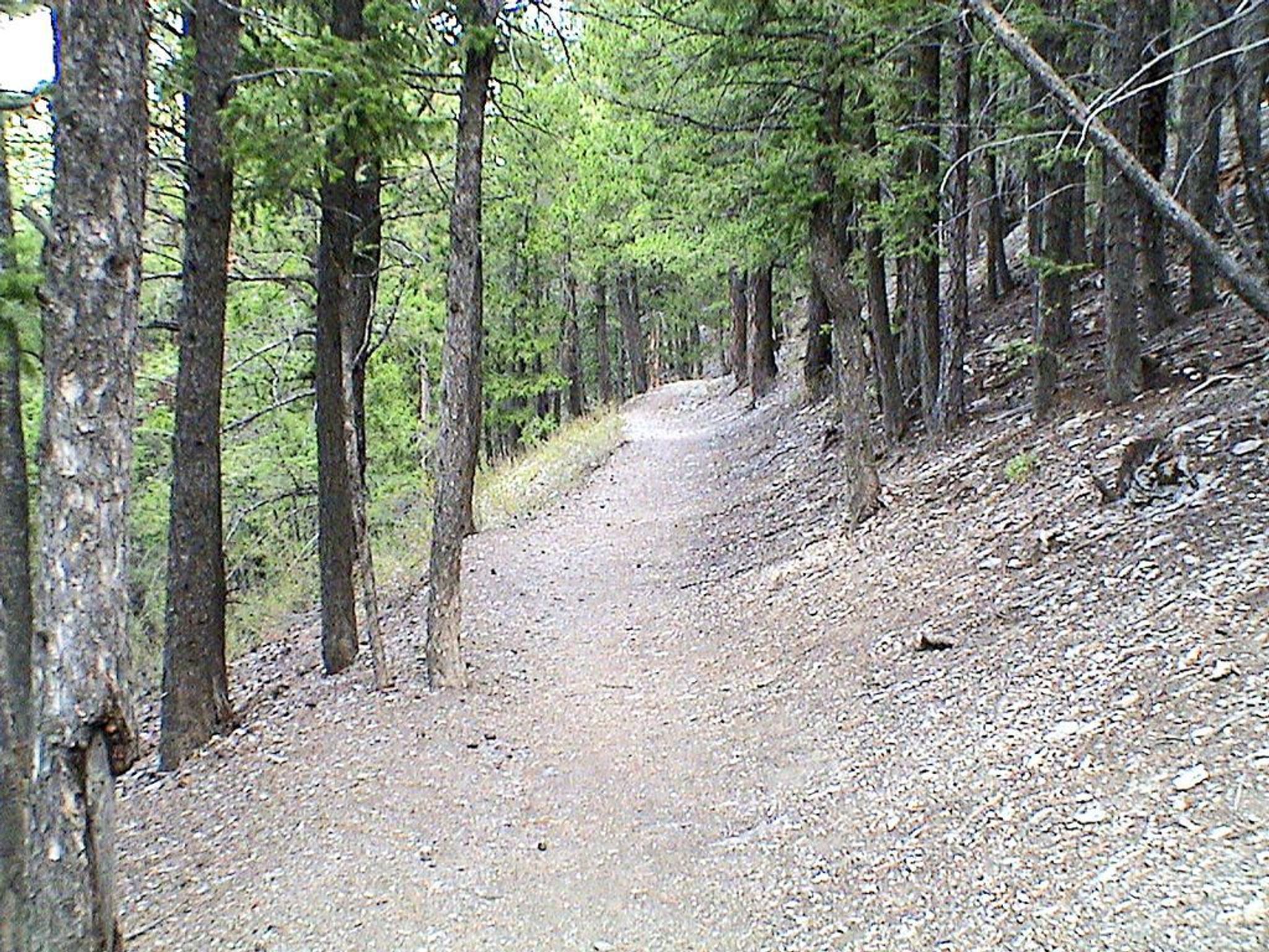 Mt. Helena Trail. Photo by RCraig09 wiki.