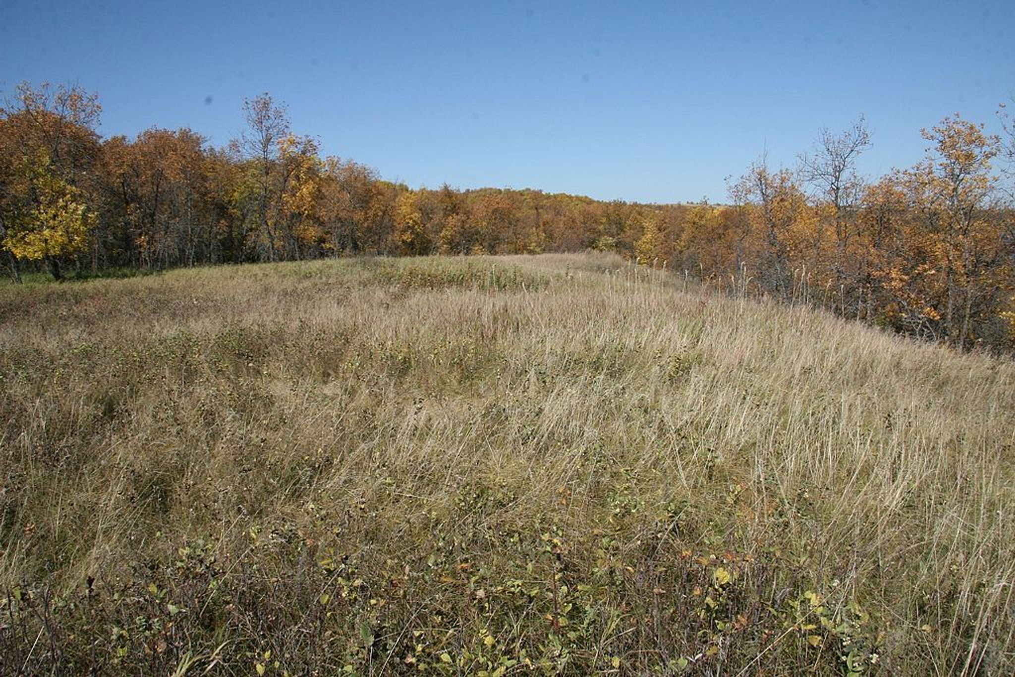 Des Lacs Refuge. Photo by USFWS Mountain-Prairie wiki.