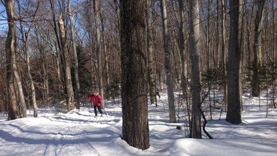 Cross-country ski trail. Photo by NPS/Shaun Hughes.