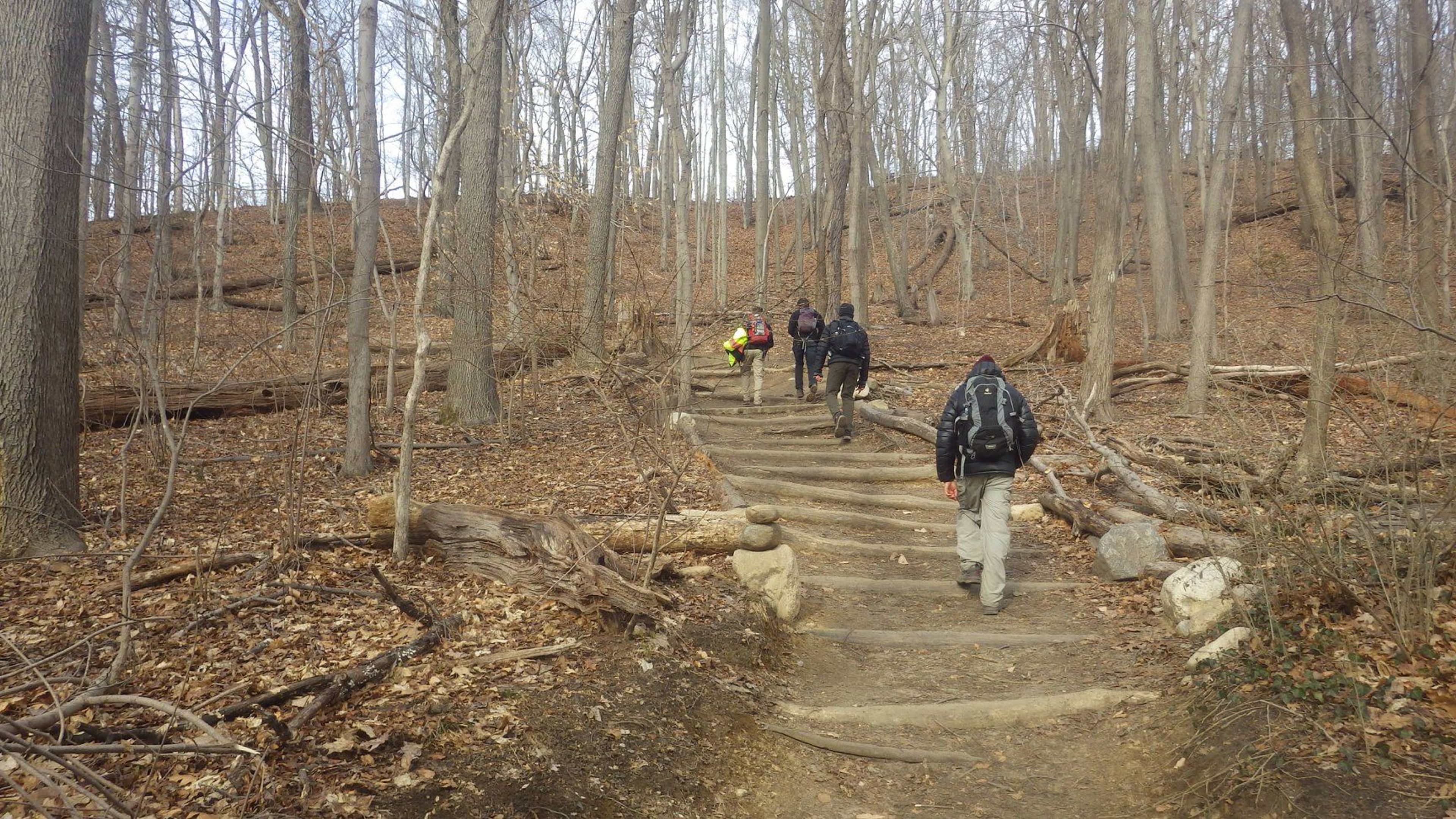 Nassau-Suffolk Trail in Cold Spring Harbor State Park NY. Photo by Mike Helbing/Metrotrails.