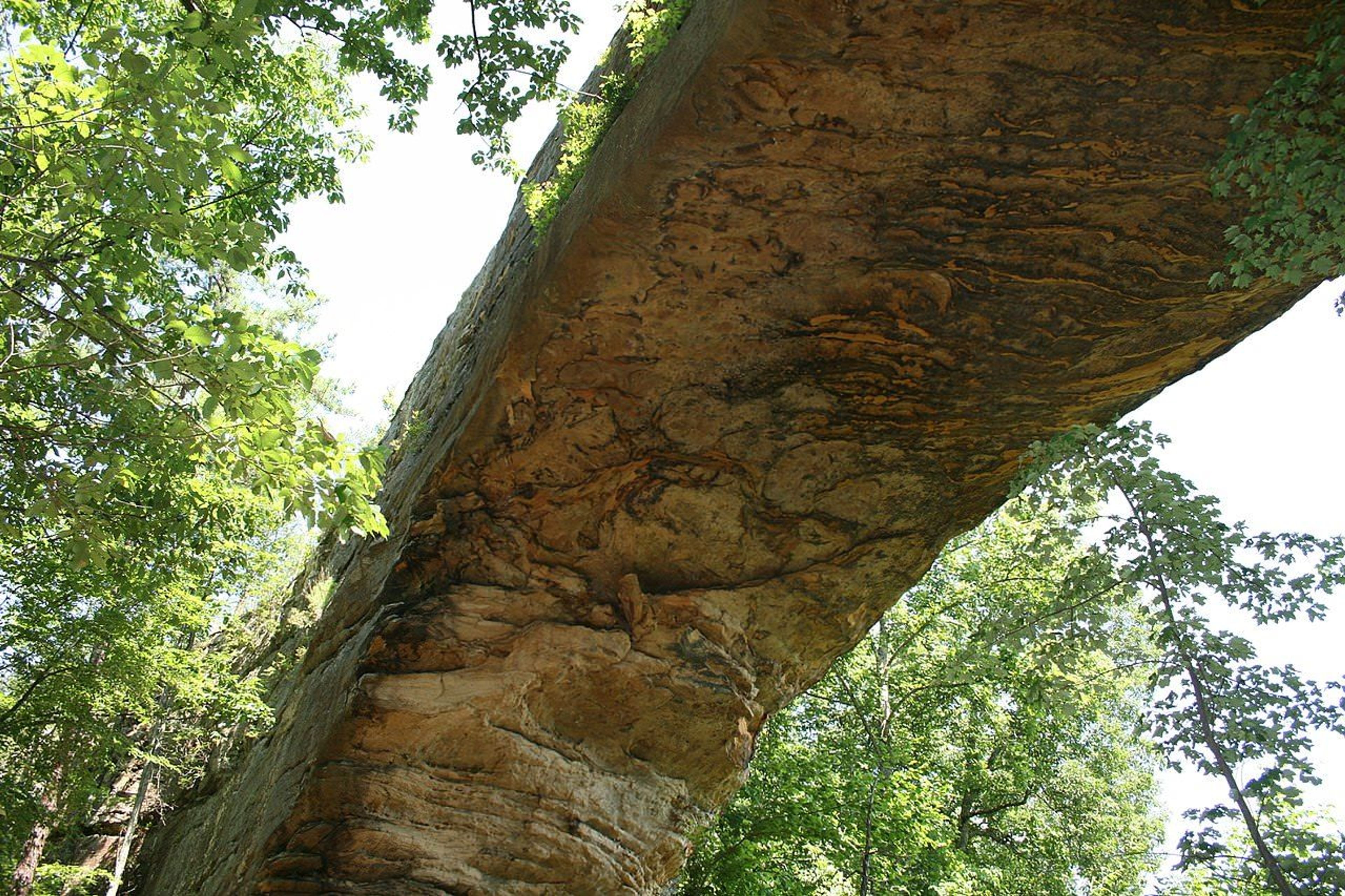 Photo from below the Natural Bridge. Photo by ChrisKuehl/wiki.