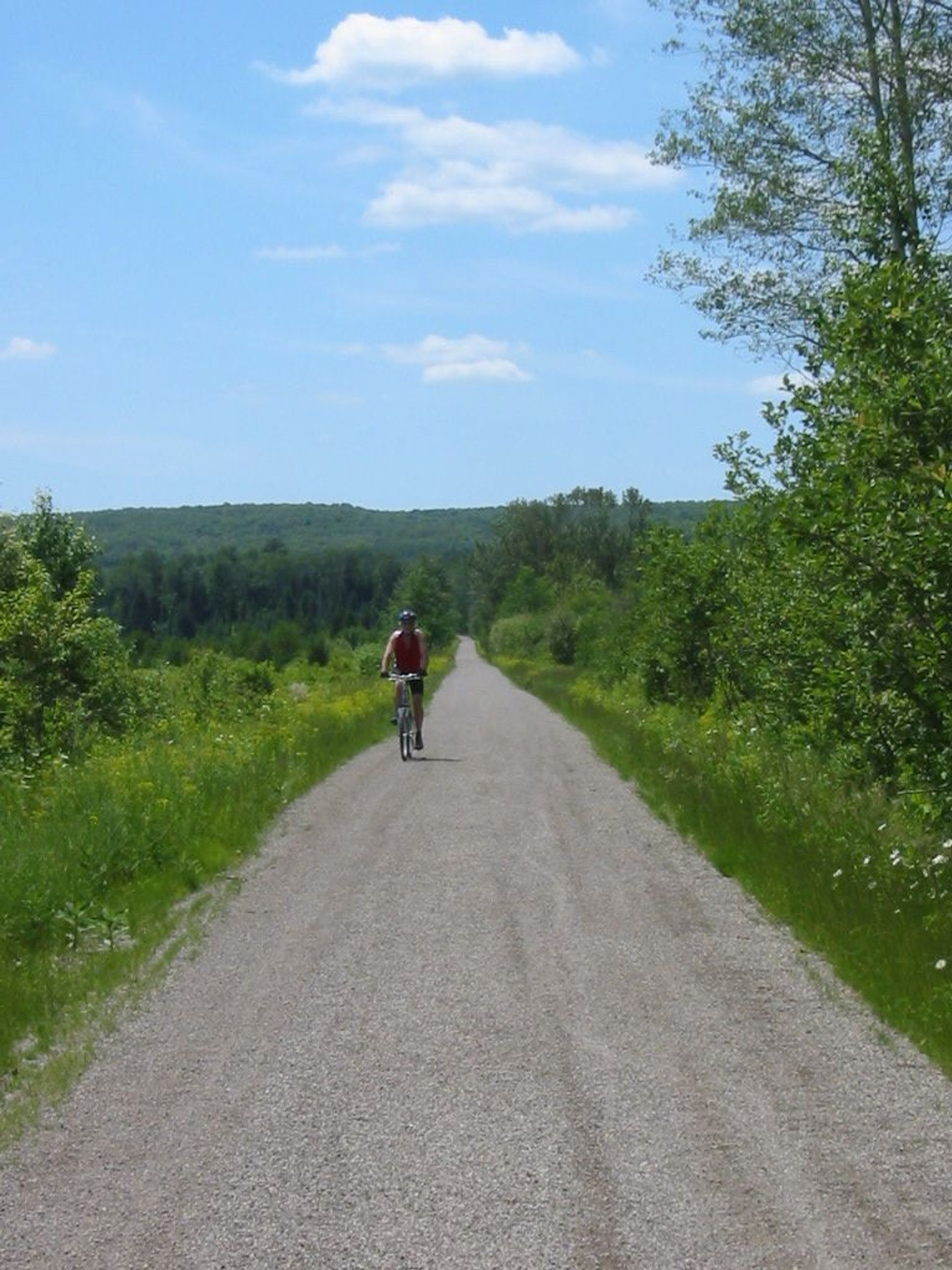 Lone Rider near Stewart's Creek Marsh