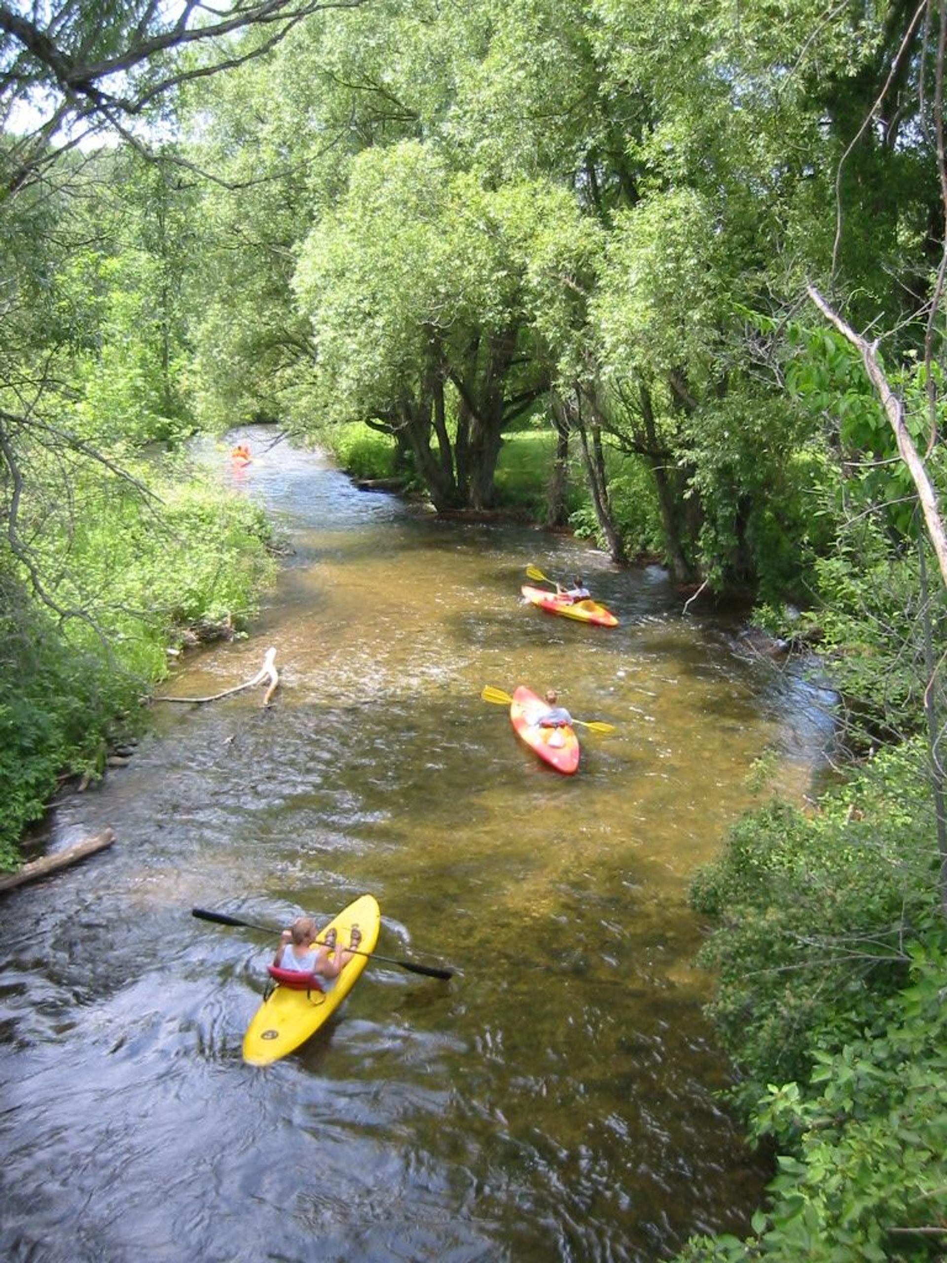 Kayakers seen from a bridge on the NCST