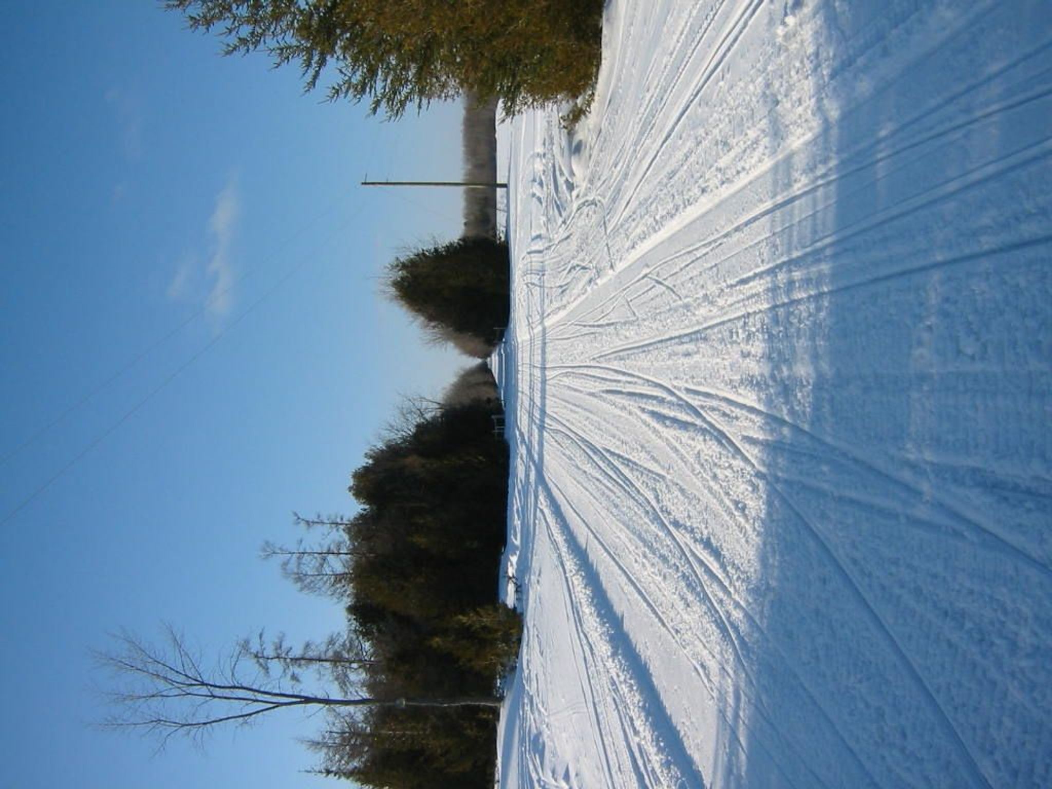 NEST in winter