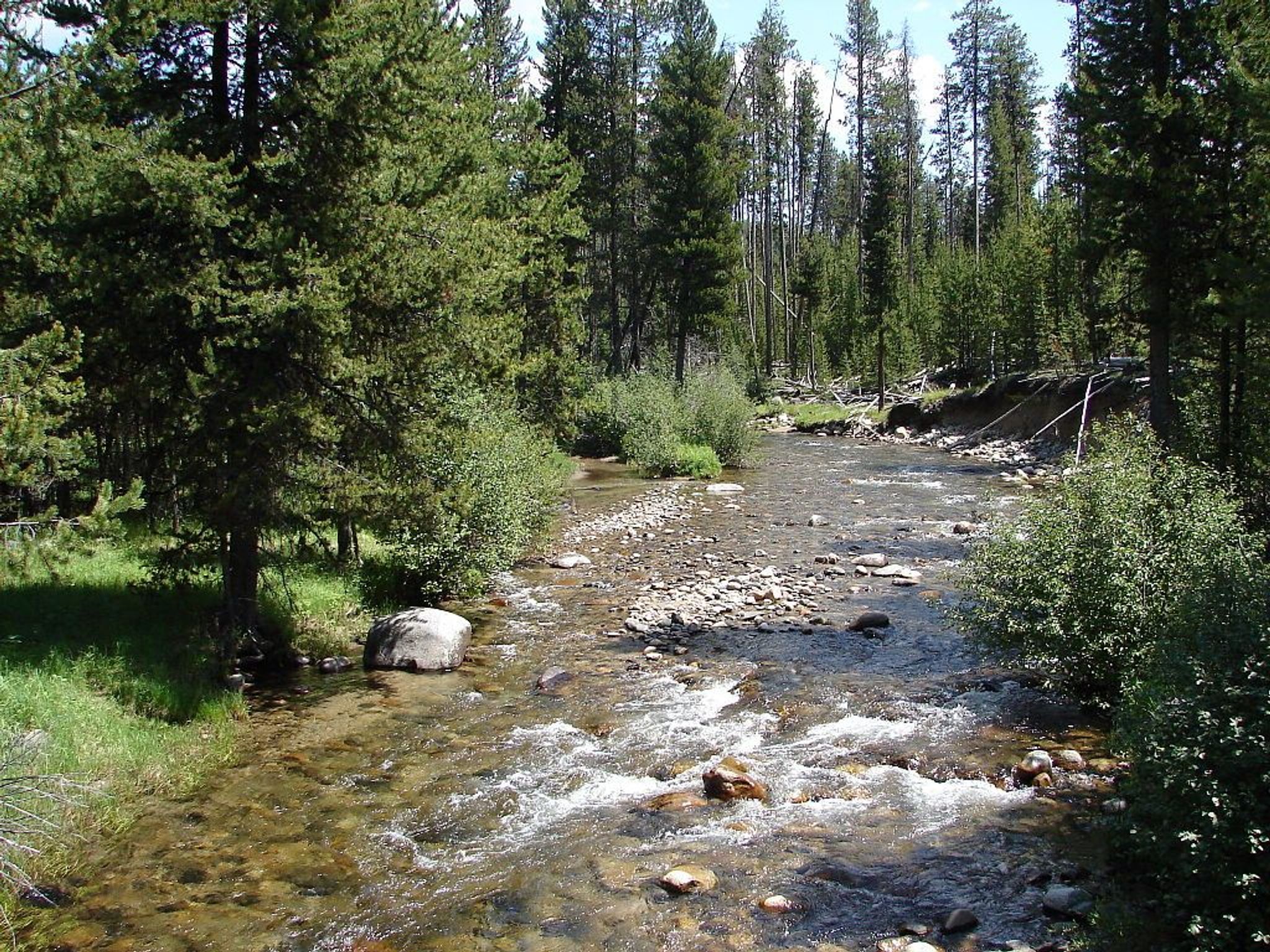 Wild and Scenic section of the North Fork John Day River, Grant County, Oregon. Photo by USFS.