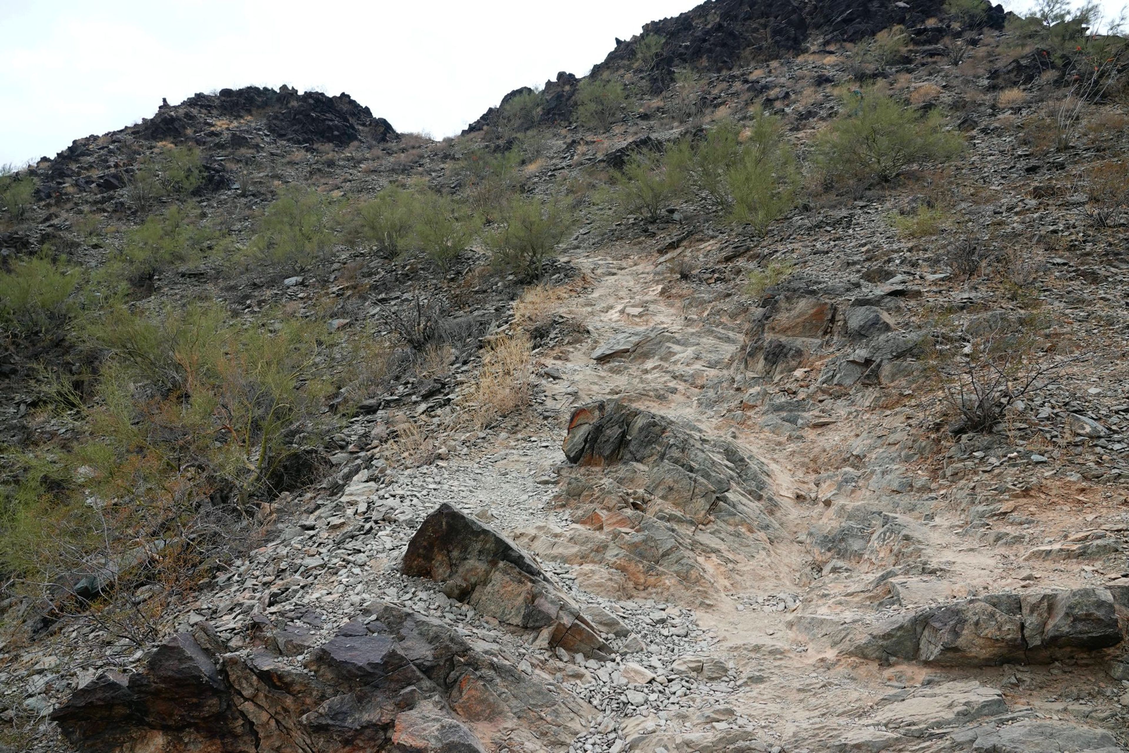 North Mountain - typical section of trail. Photo by Jim Walla.