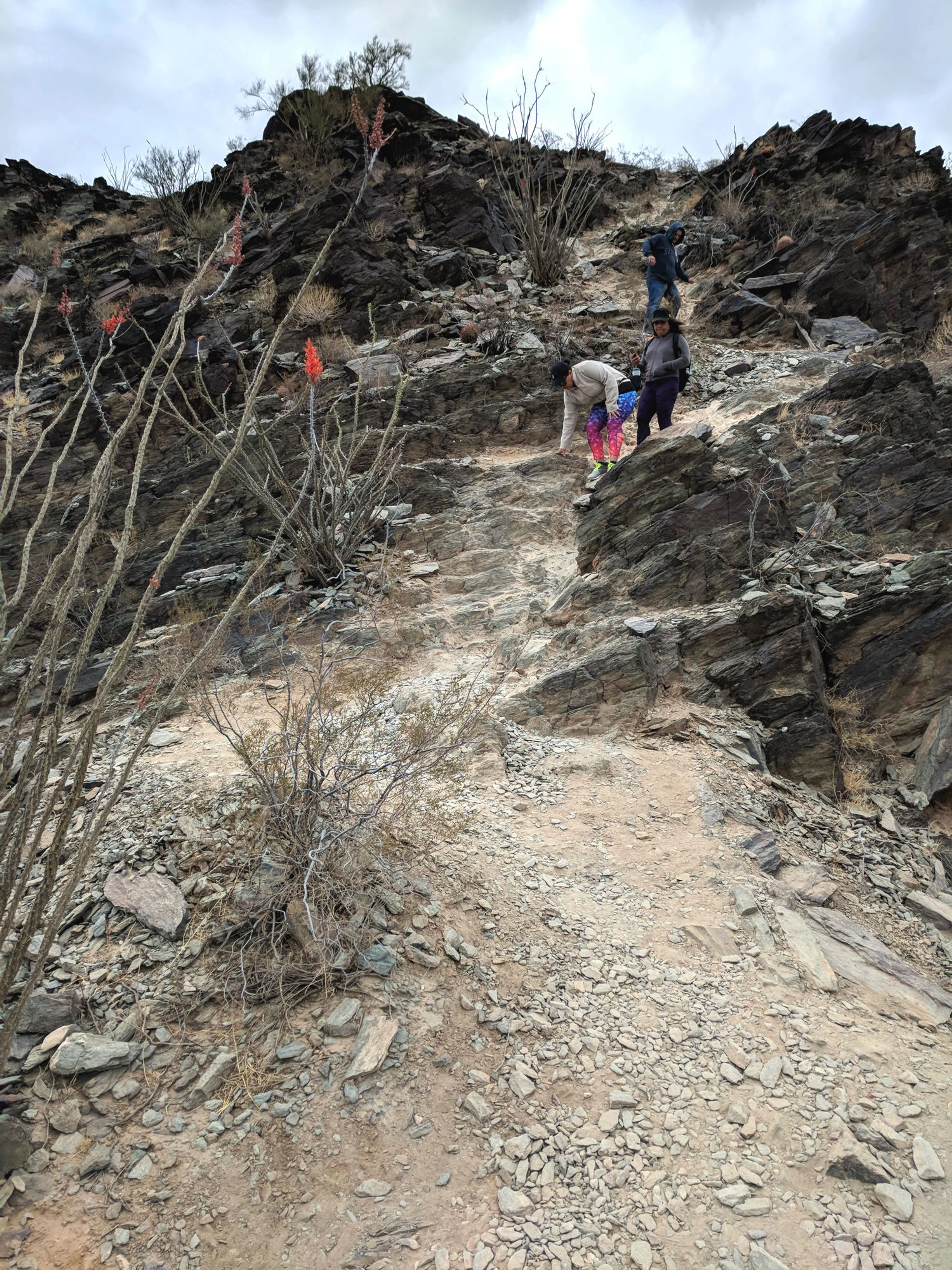 North Mountain - typical section of trail. Photo by Jim Walla.