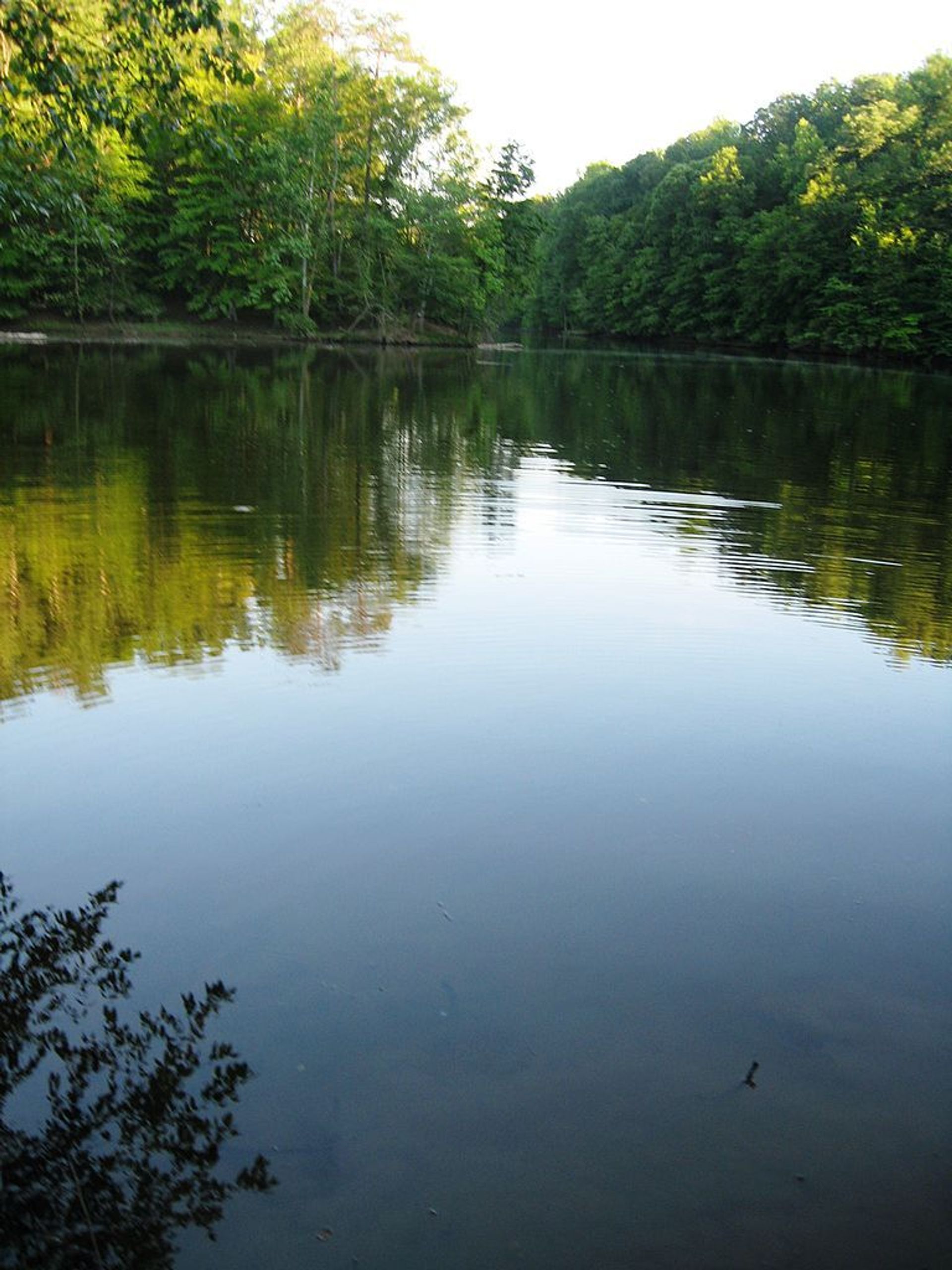 Inlet on the Occoquan River. Photo by Idawriter.