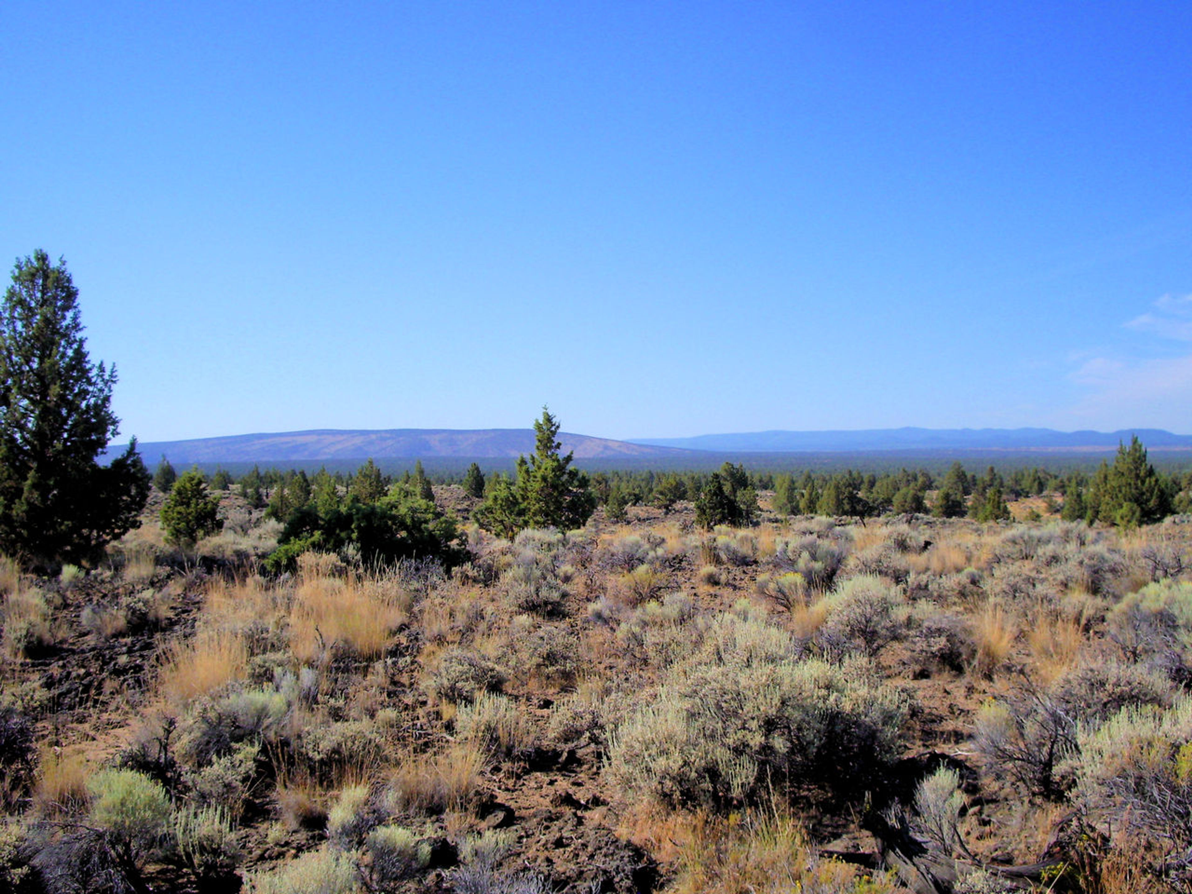 Oregon Badlands area. A mixture of sage, pine, tumulus, and ash-like soil. Photo by EncMstr/wiki.