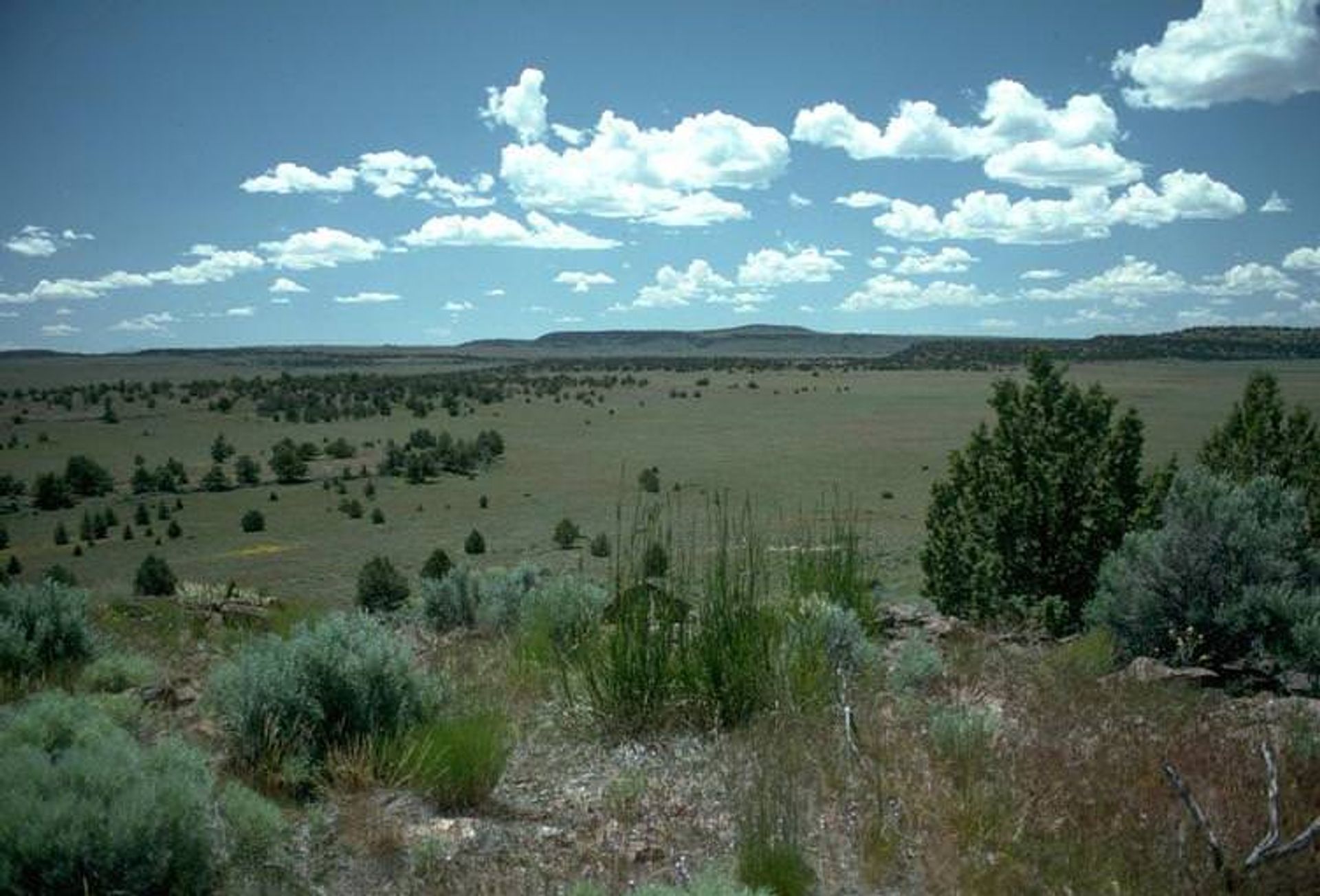 Oregon High Desert near Frenchglen. Photo by BLM/wiki.