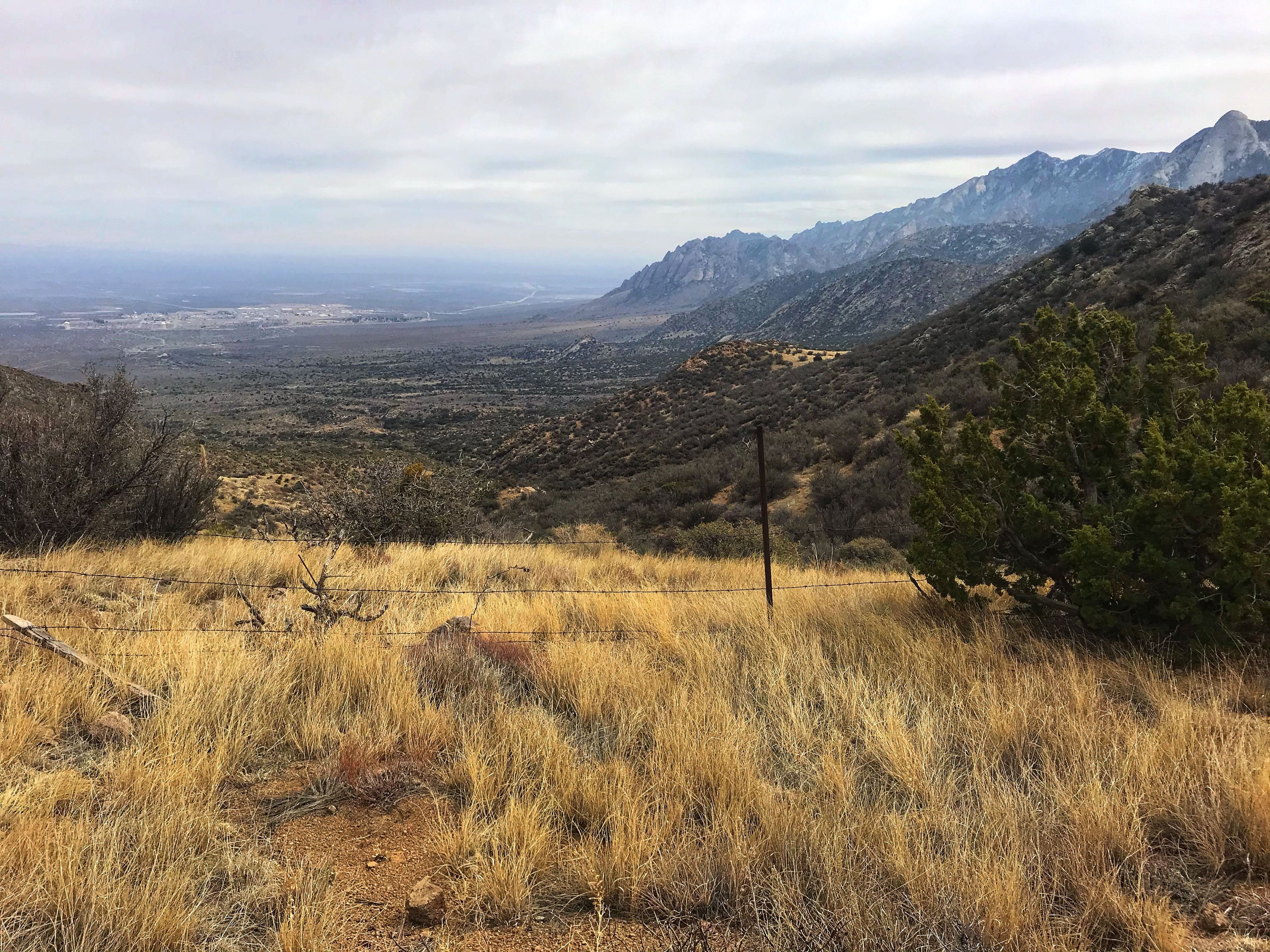 Baylor Pass looking east. Photo by Pam Riches.