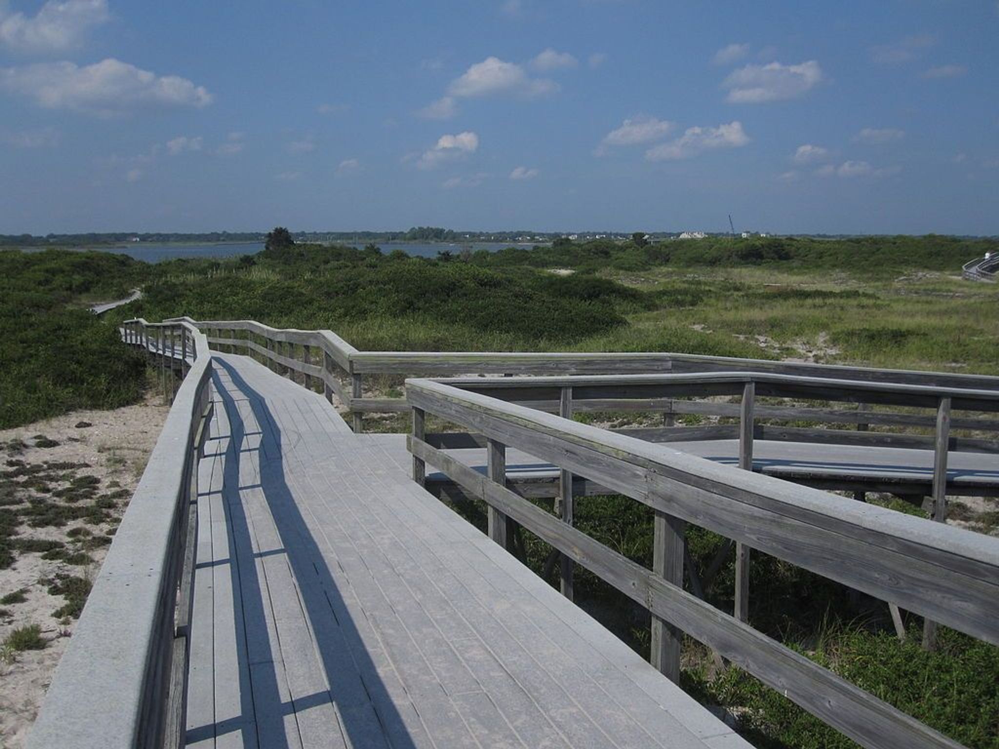 Fire Island Wilderness Path. Photo by Stevan.