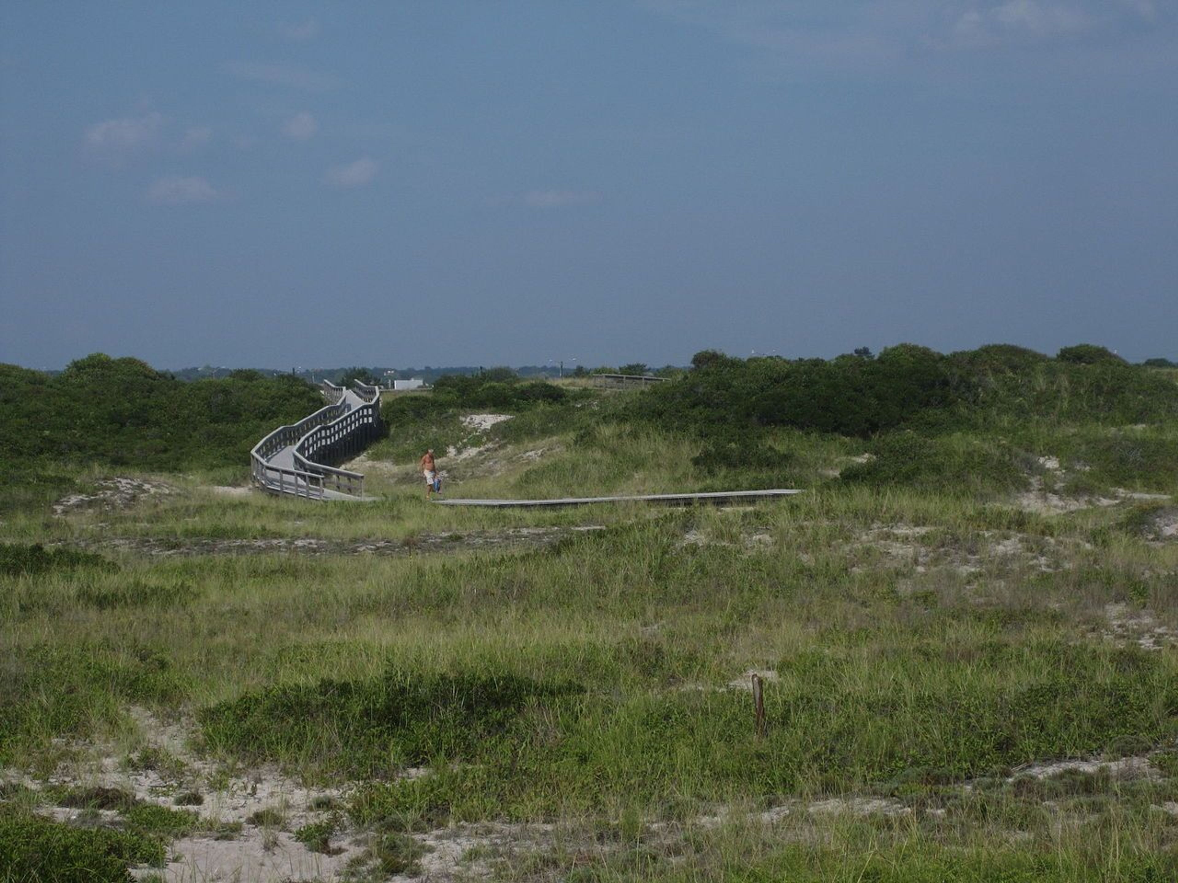 Fire Island Widerness View East. Photo by Stevan.