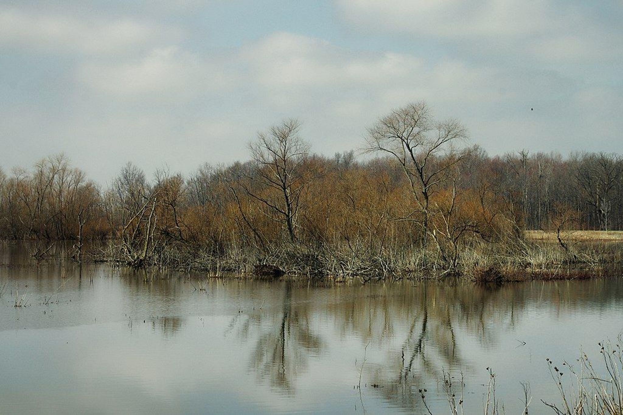 Ottawa National Wildlife Refuge, Oak Harbor, Ohio. Photo by Niagara66/wiki.