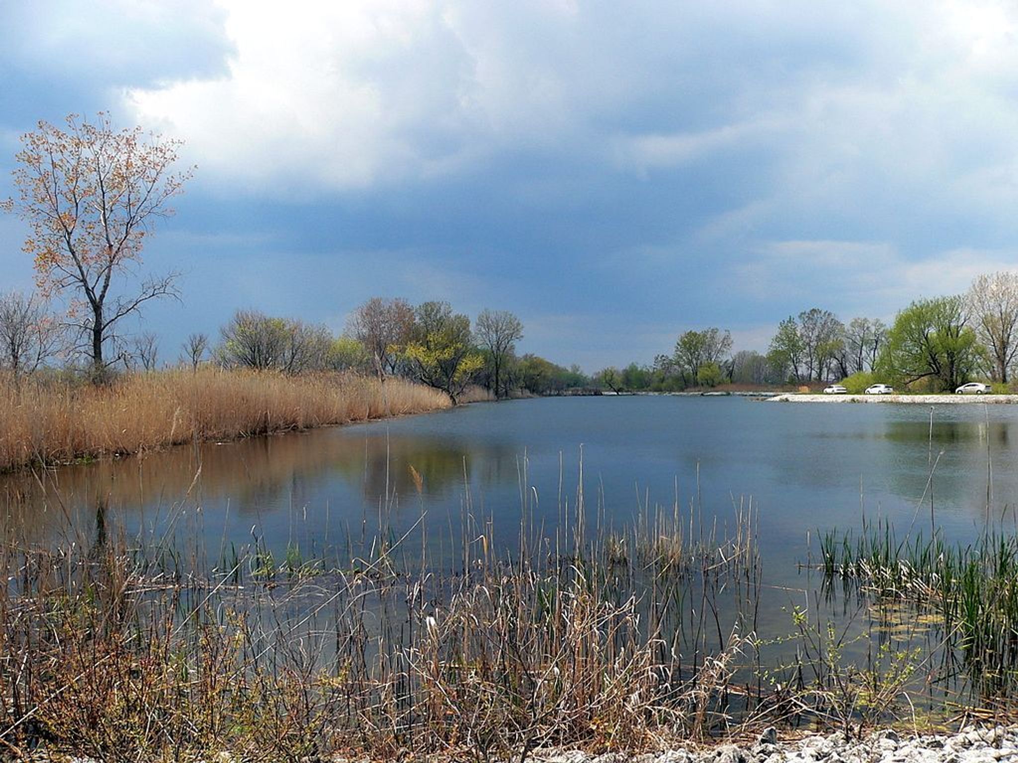 Ottawa National Wildlife Refuge, Ohio, USA. Photo by Dakota Callaway/wiki.