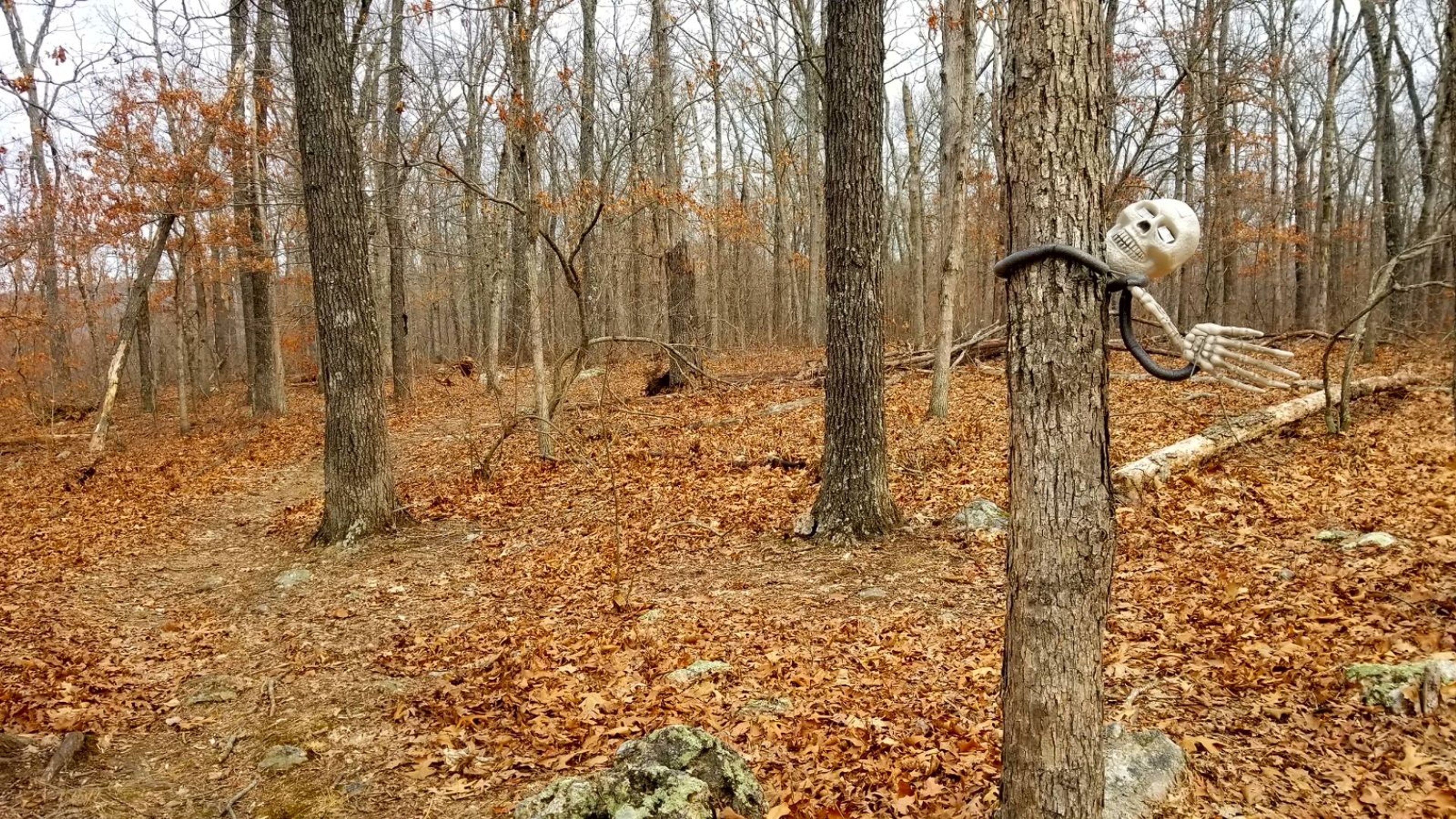 A Halloween decoration waving to hello trail users. It has reflectors in its eyes. Photo by Kristin Buchanan.