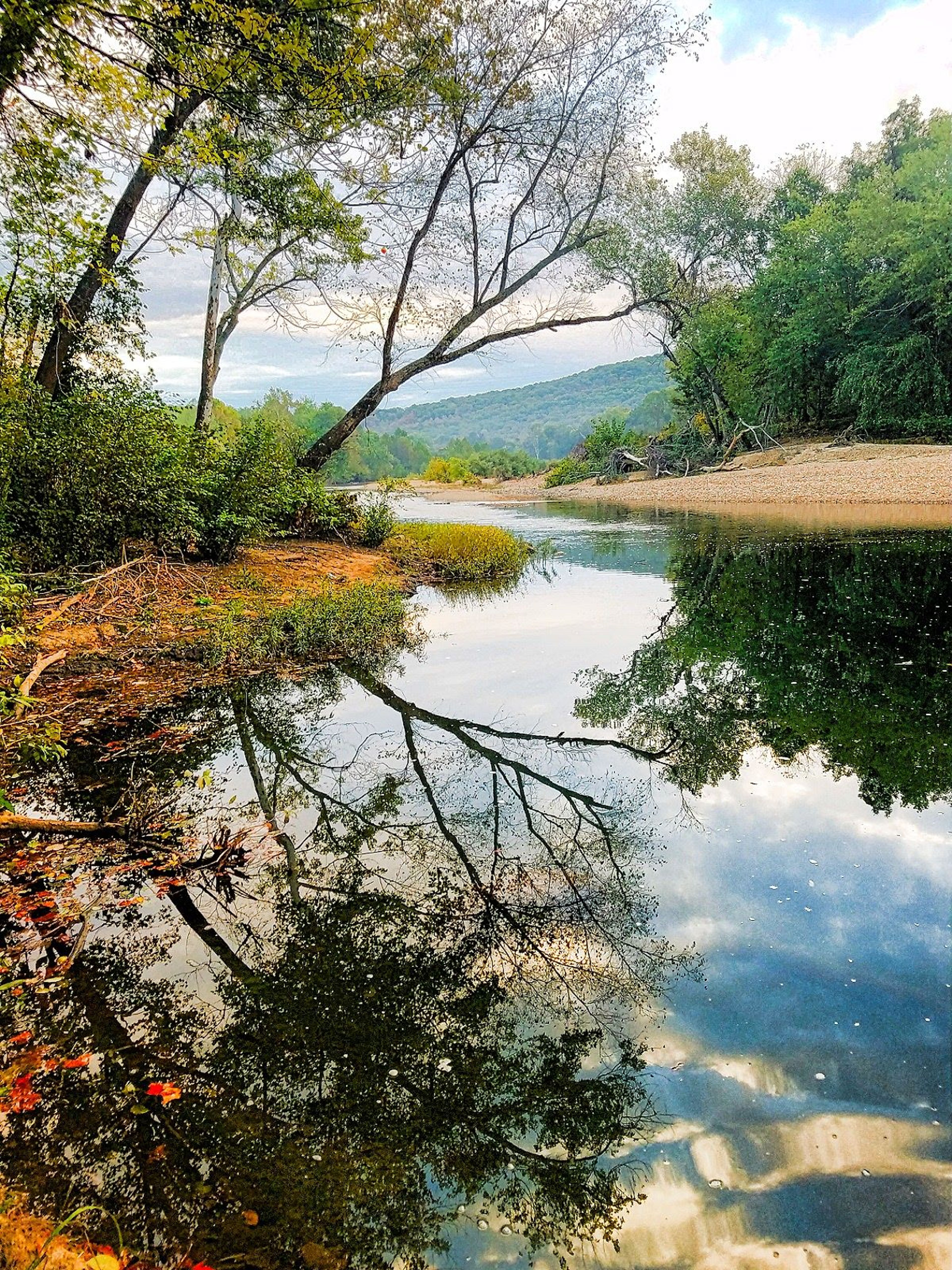 The beginning of the Wappapello Section of the Ozark Trail. Photo by Kristin Buchanan.