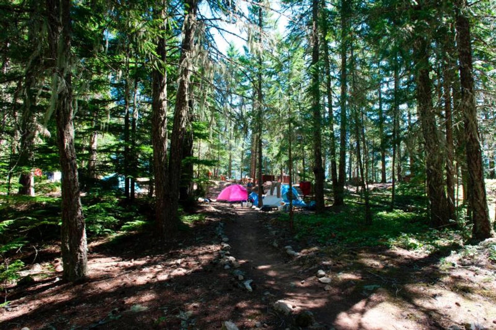 Camping in the North Cascades. Photo by NPS Photo/Deby Dixon.