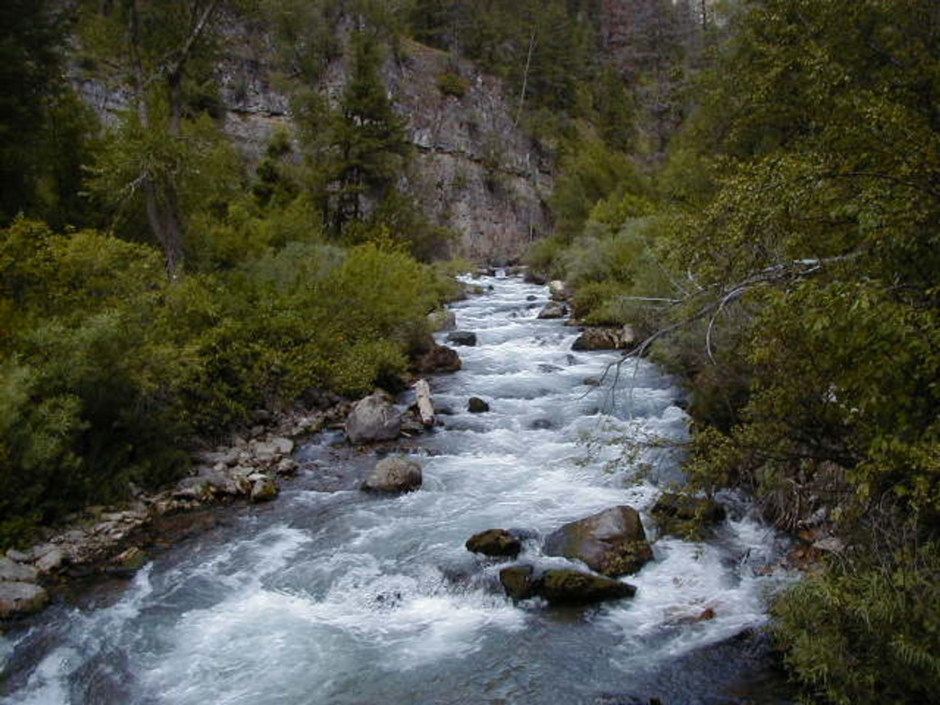 Palisades Creek shown from a bridge crossing. Photo by USDA Forest Service Staff.