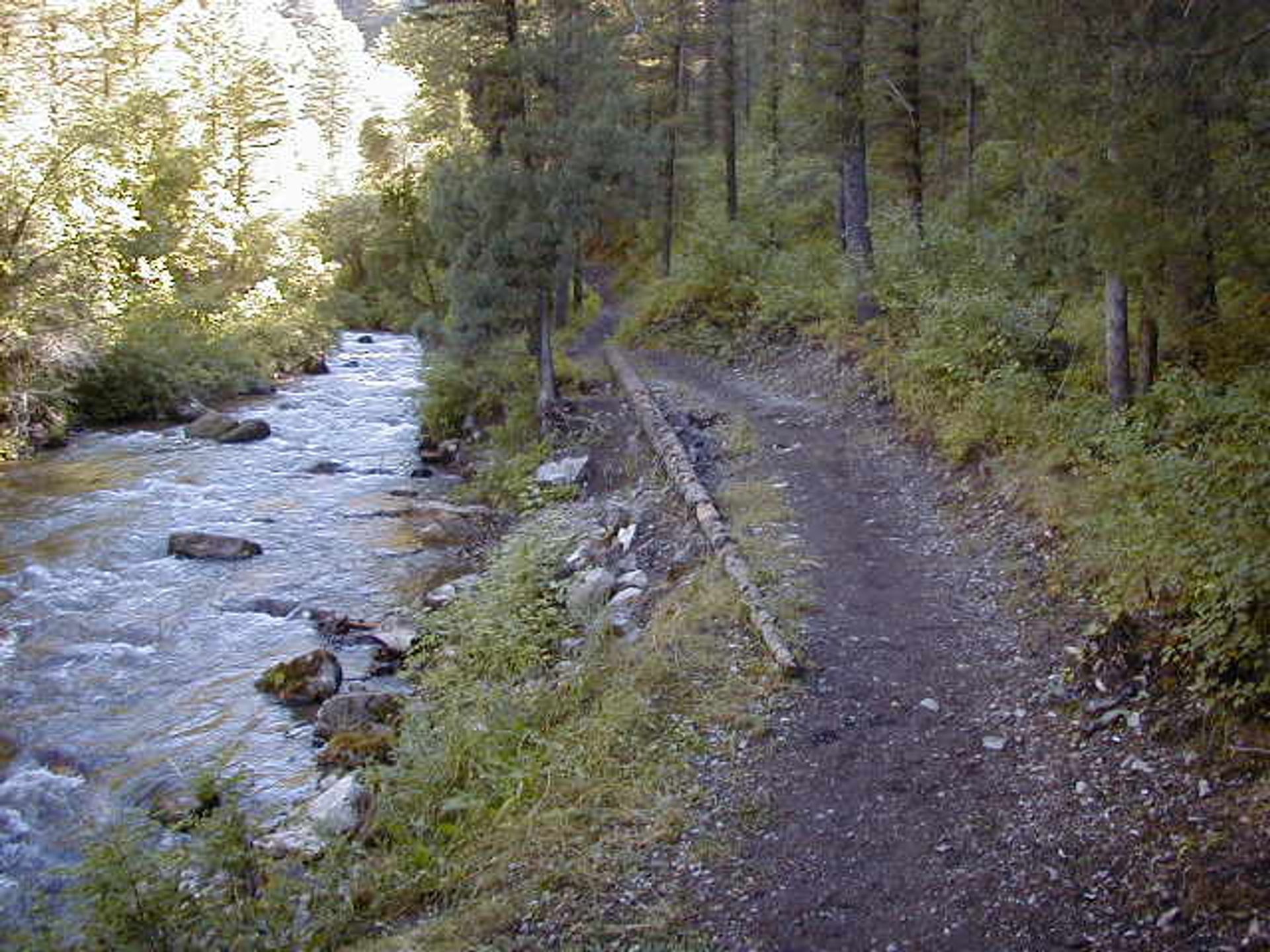 Palisades Creek Trail above the campground and equestrian parking area. Photo by USDA Forest Service Staff.