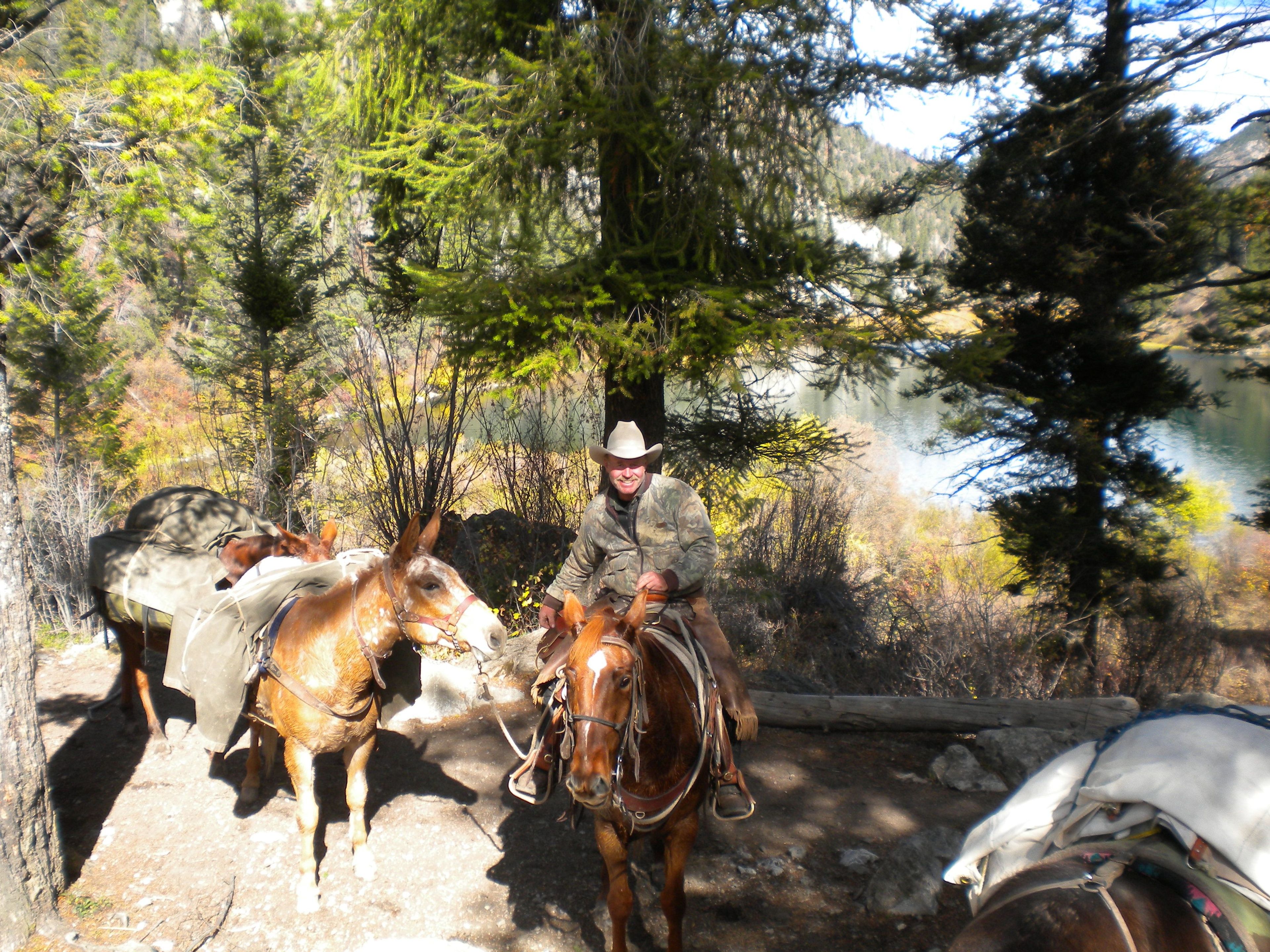 Back country guide and pack string near Palisades Lower Lake. Photo by USDA Forest Service Staff.