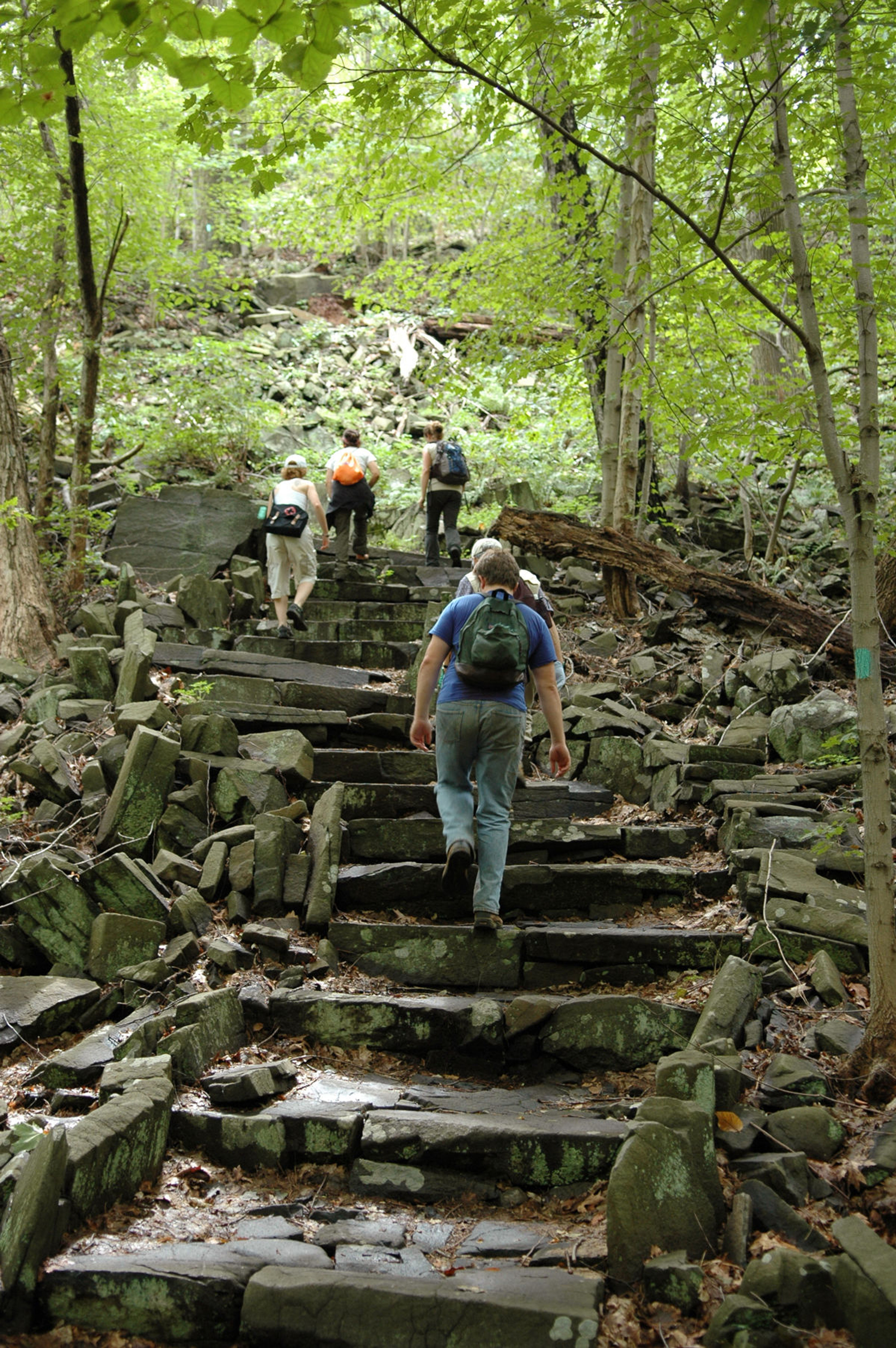 Hikers ascending stairs on the Long Path. Photo by Anthony Taranto.