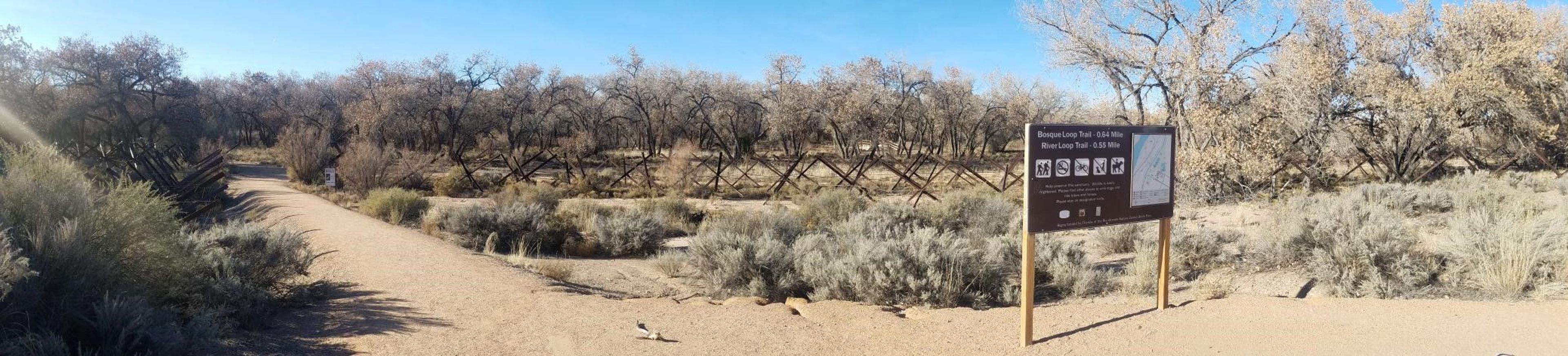 Bosque Loop Trail. Photo by Candace Gallagher.