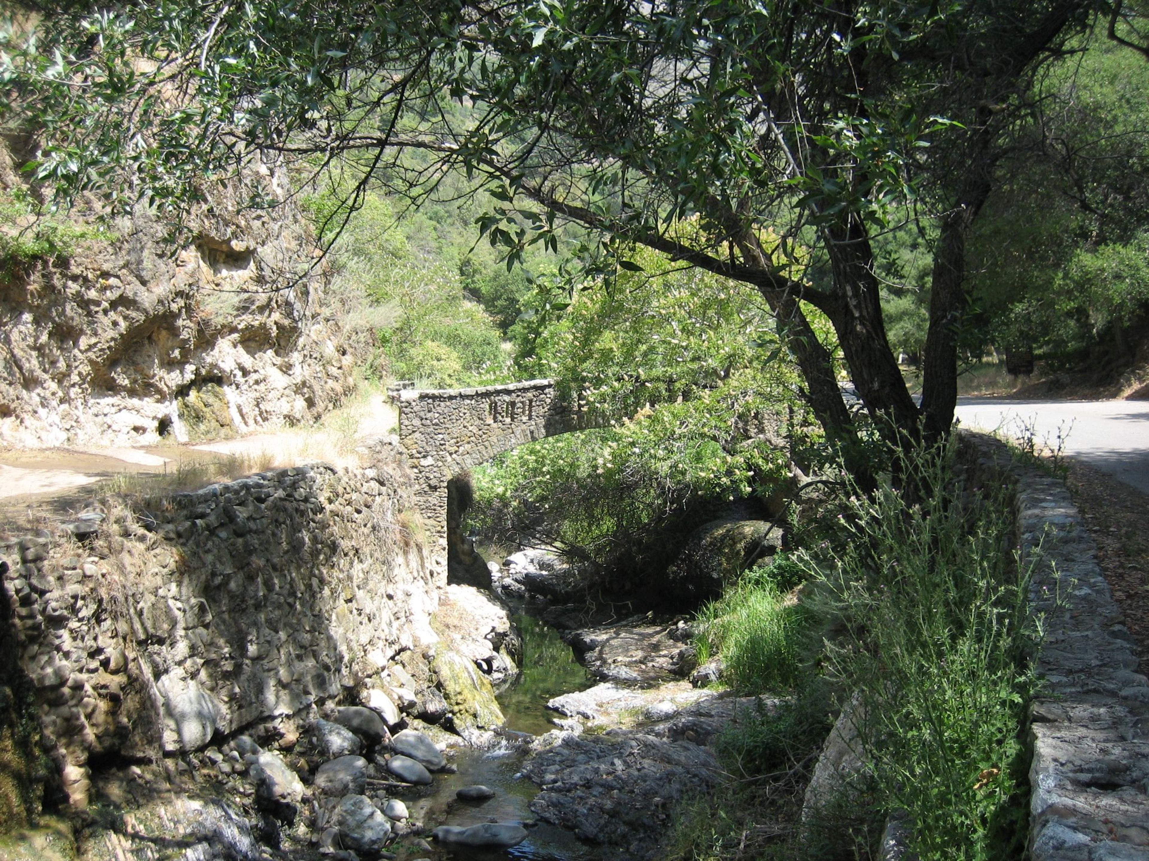 Photo by City of San Jose Parks.